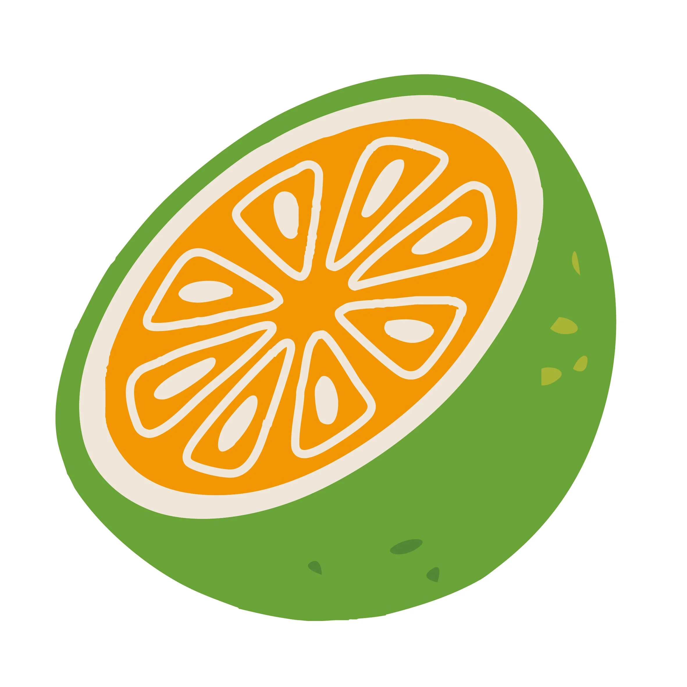 A digital illustration of an orange inside a green citrus fruit half.
