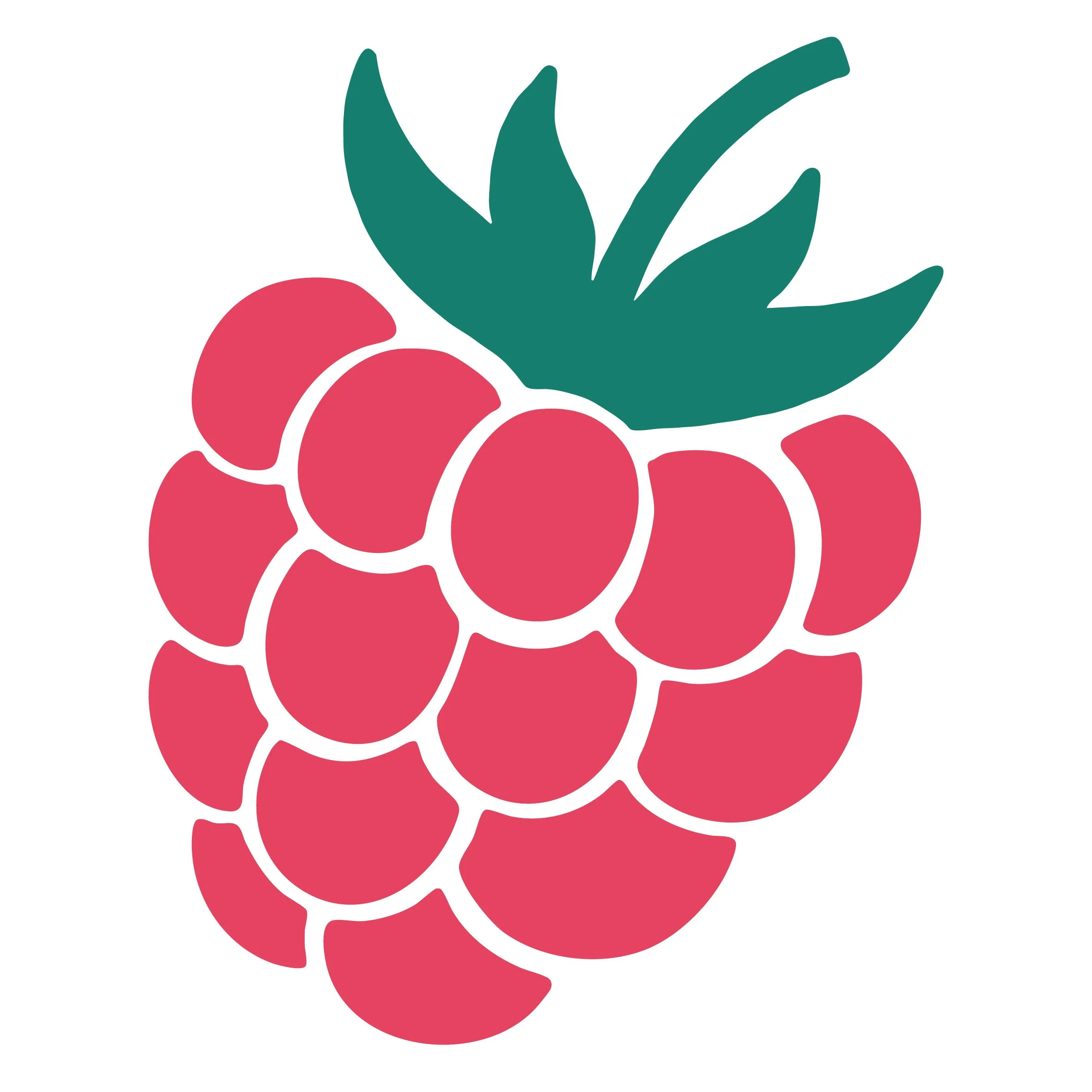 Digital illustration of a pink raspberry with green leaves on a white background.