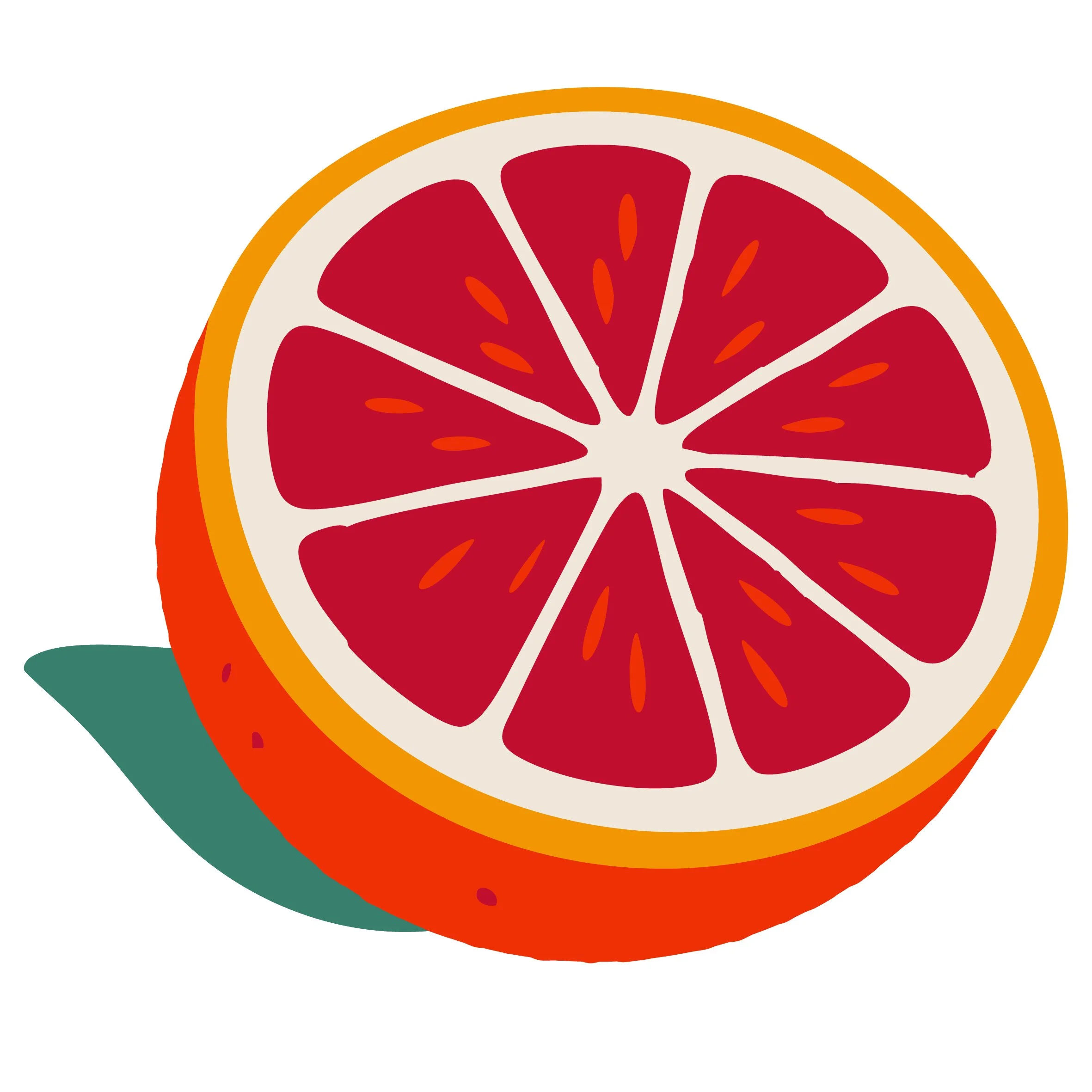 Digital illustration of a sliced grapefruit showing red pulp and orange rind on a white background.