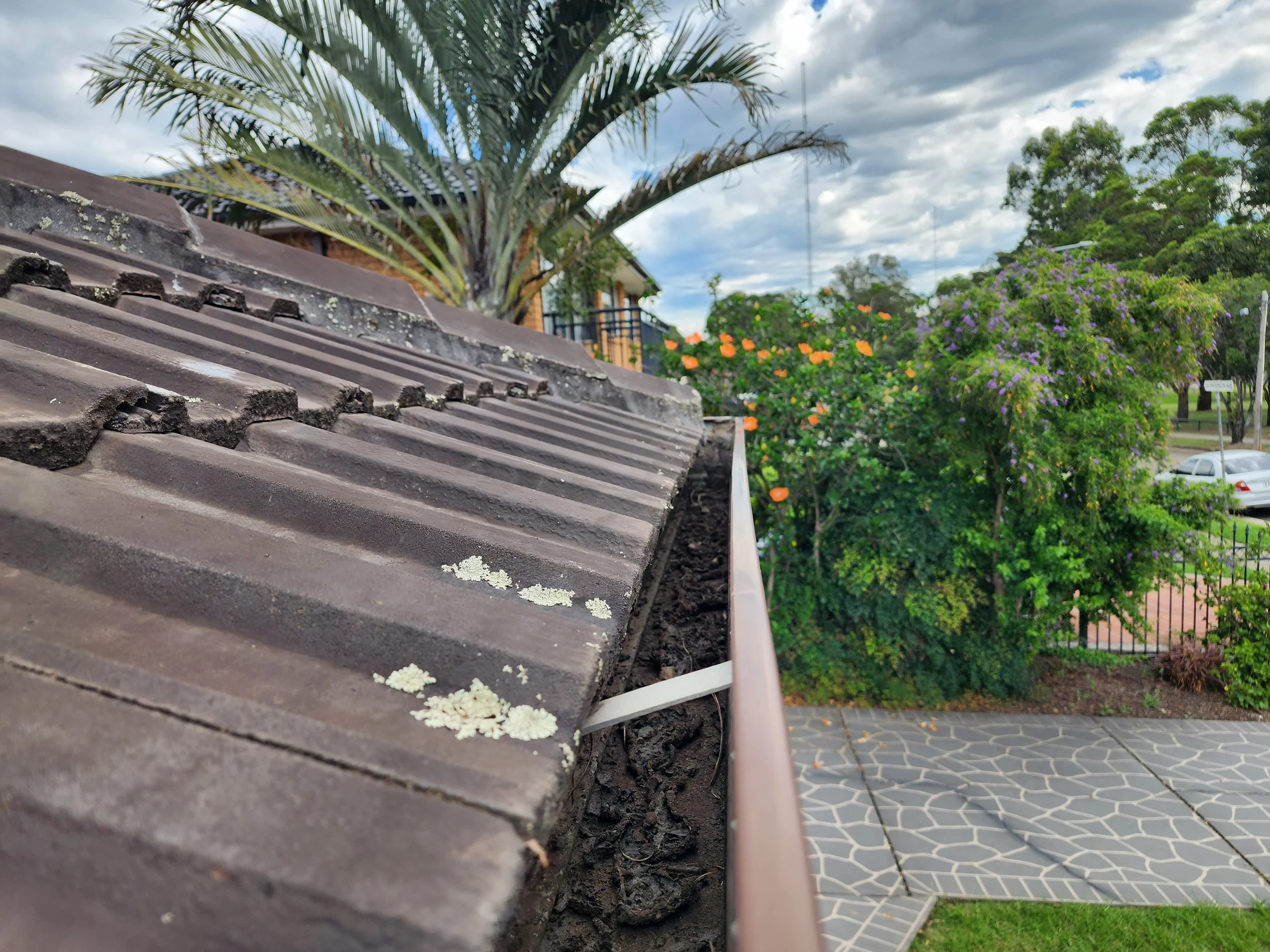 A rooftop with clay tiles and patches of white lichen, with a garden and trees in the background, including purple and orange flowers and a cloudy sky.