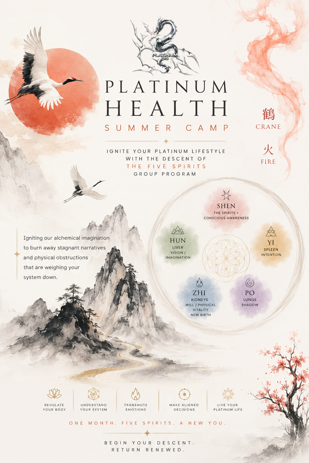 PLATINUM HEALTH July Summer Camp