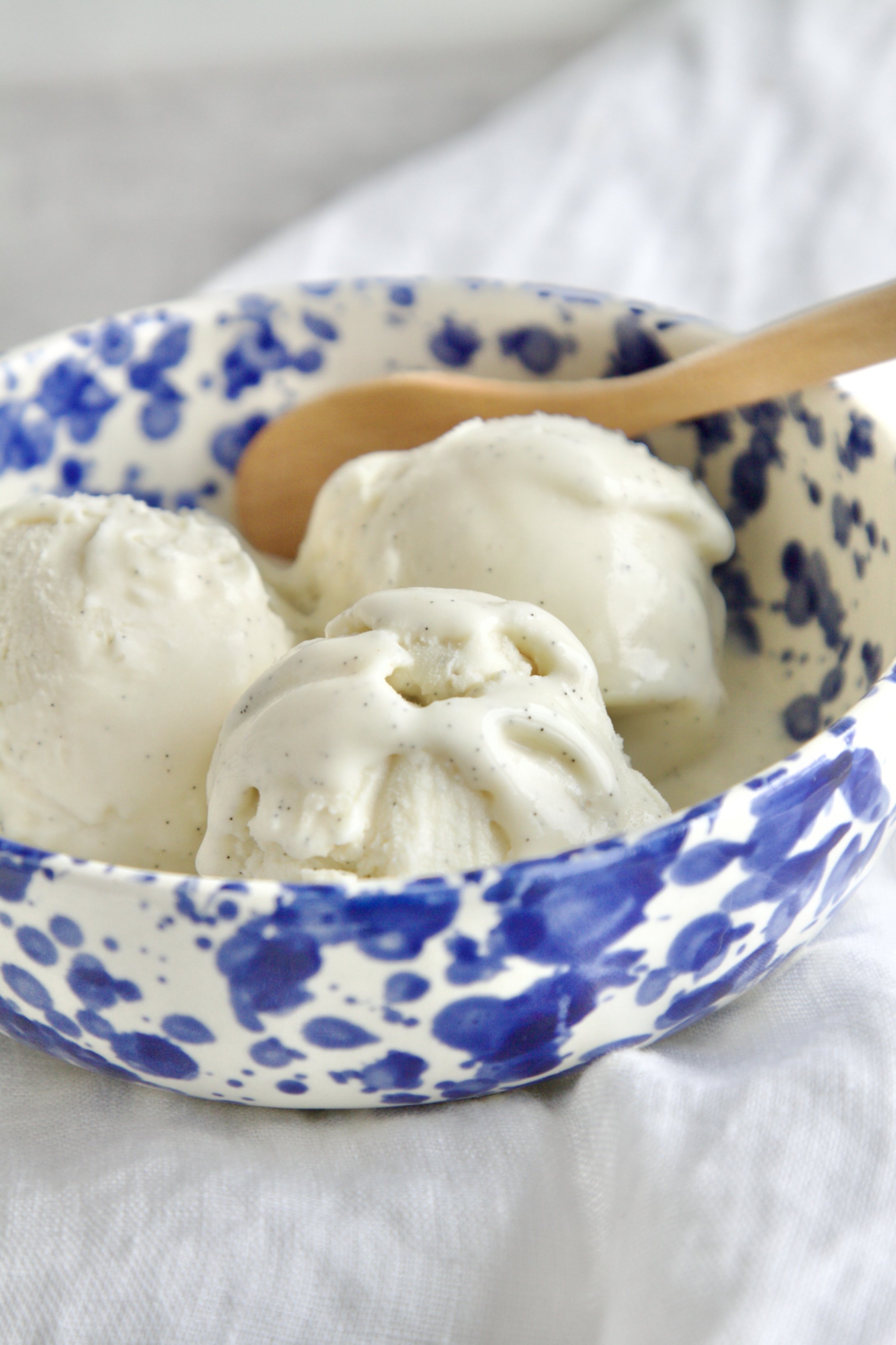 bowl with 3 scoops of vanilla Fior Di latte ice cream where you can see the vanilla beans