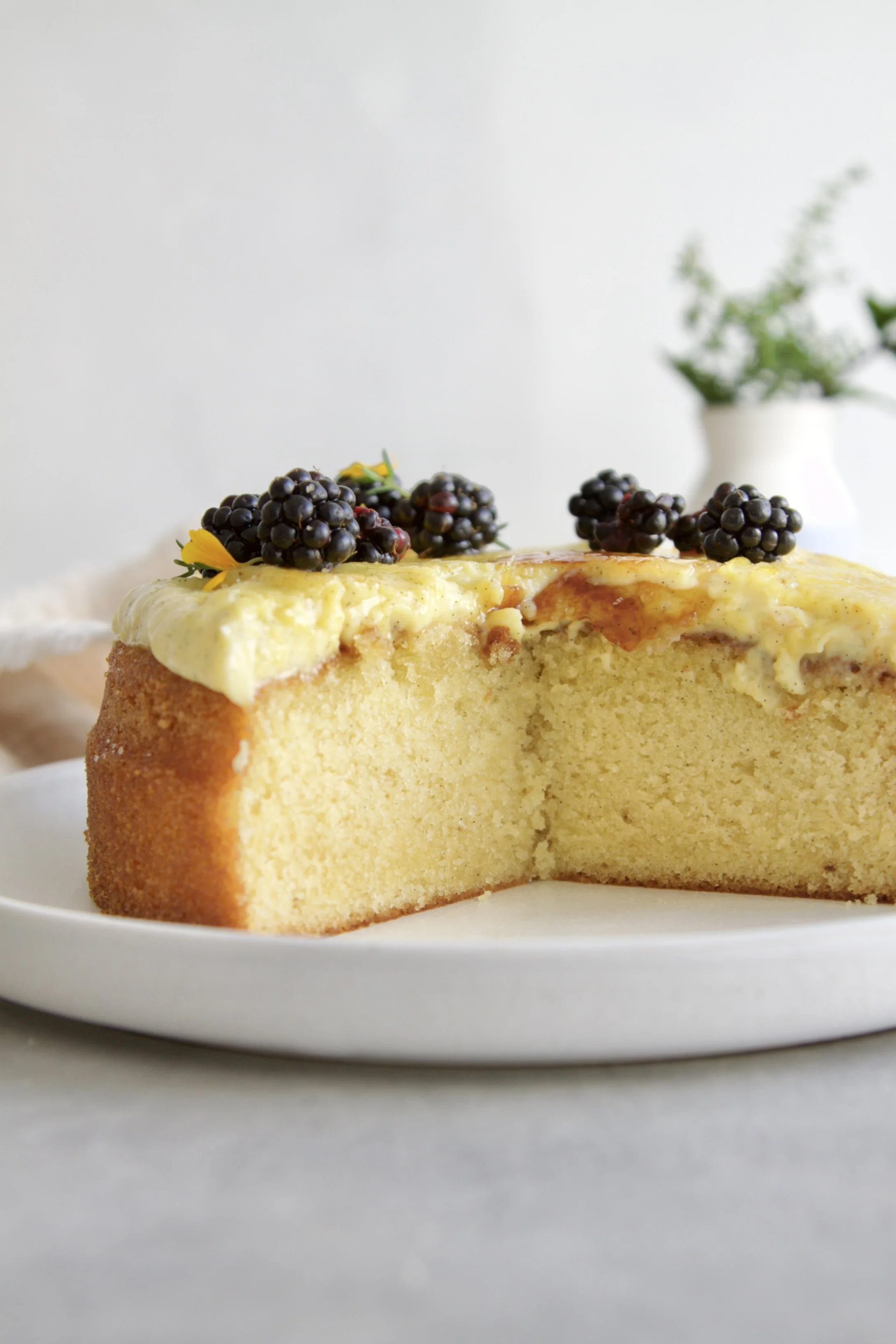 vanilla creme brulee cake with creme brulee topping and fresh blackberries. Cut so you can see the inside of the cake