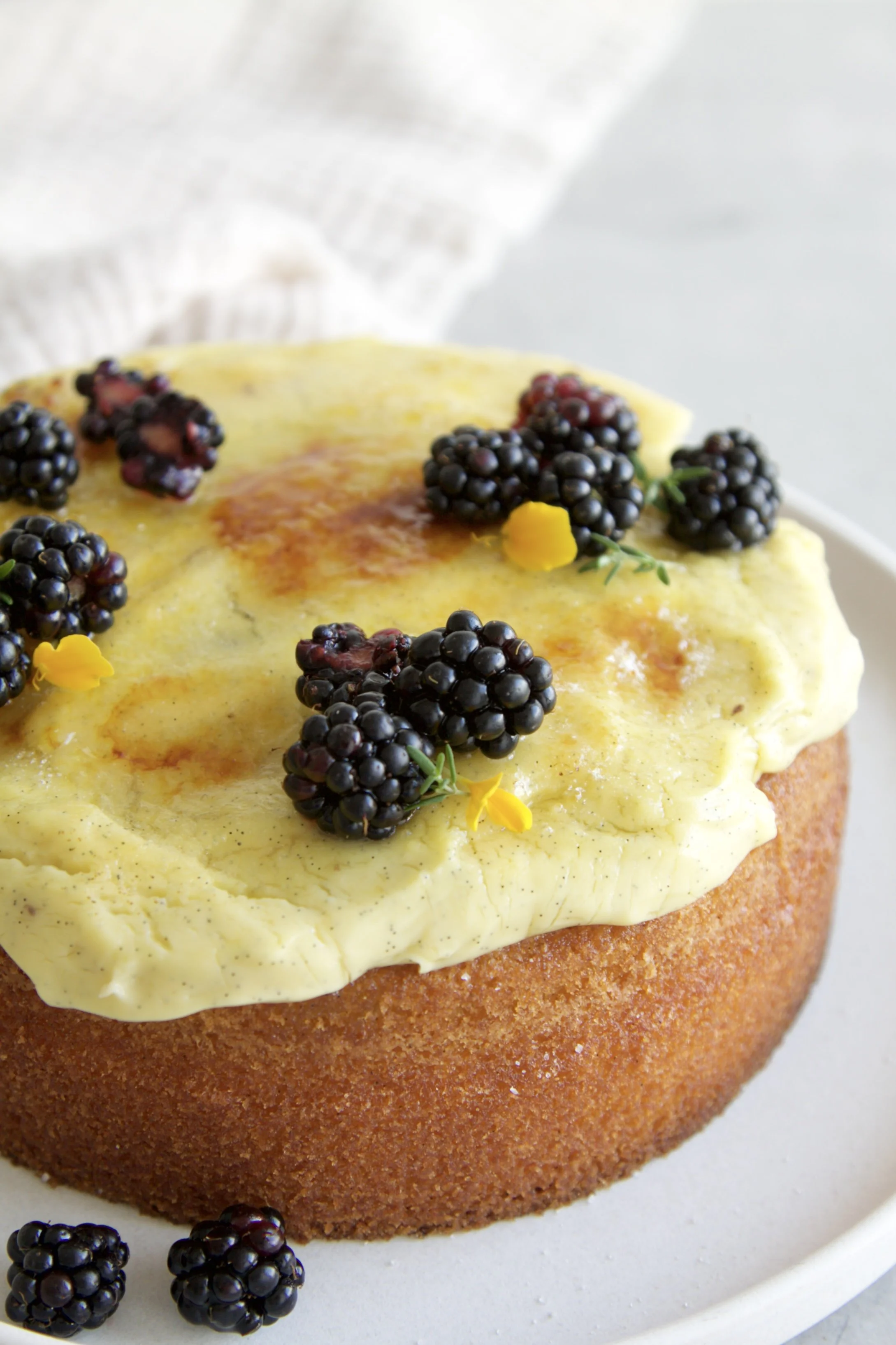 top shot of a vanilla creme brulee cake with a caramelized topping and fresh blackberries for decoration