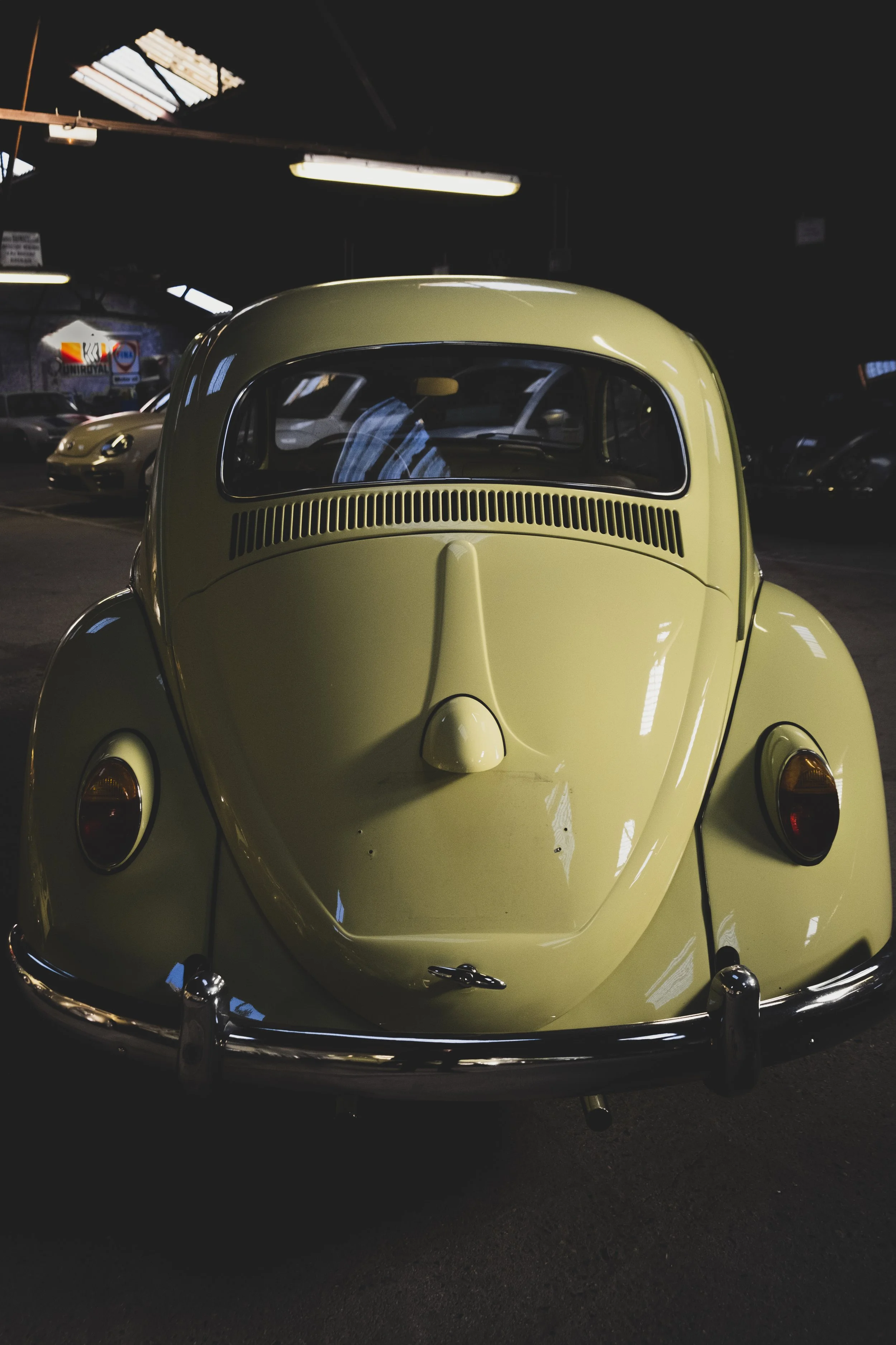 DSCF1574.jpg