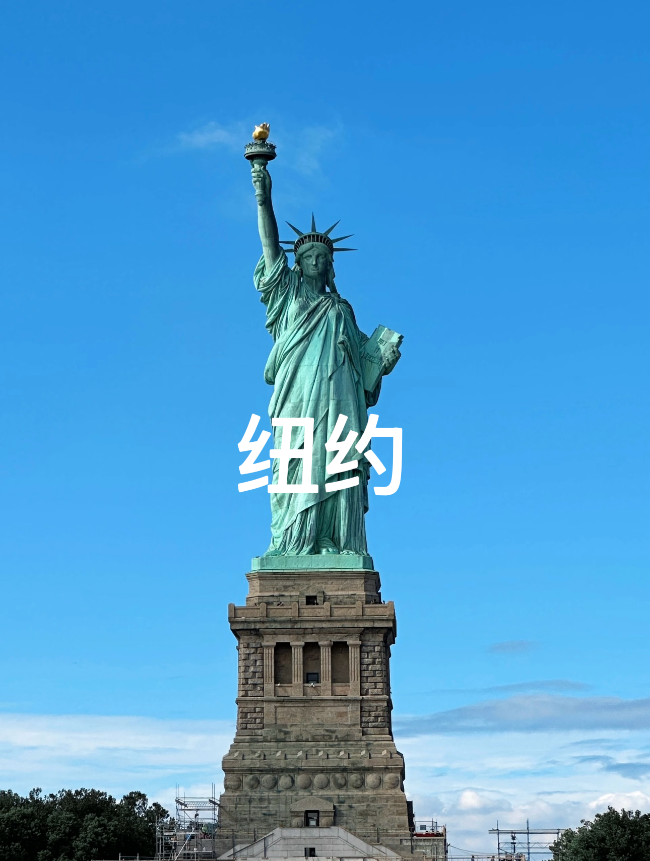 11461748324855.png
