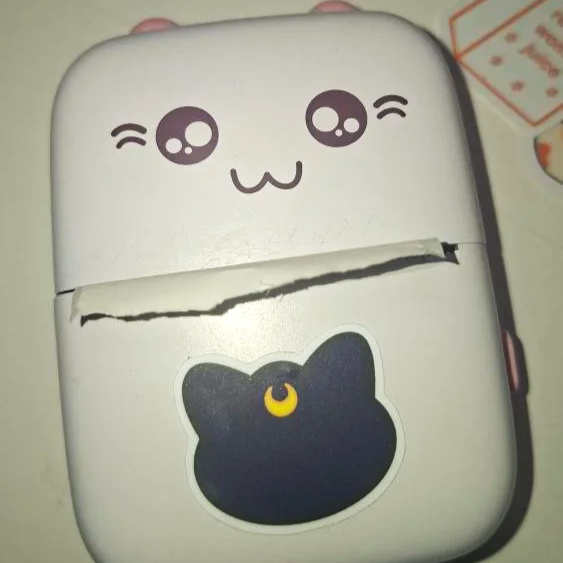 Ein taschenförmiger Gegenstand mit einem niedlichen Kätzchen- und einem Gesicht mit großen, glänzenden Augen und einem lächelnden Mund, sowie eine schwarze Katzenaufnahme. Das Bild ist leicht unscharf und die Tasche hat einen Riss.