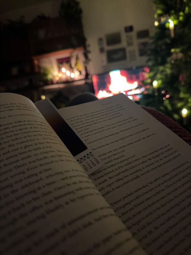 Ein Mensch liest ein Buch im Wohnzimmer mit einem Fernseher, der ein Feuer darstellt, im Hintergrund. Der Raum ist dunkel, und im Raum sind Pflanzen sichtbar.