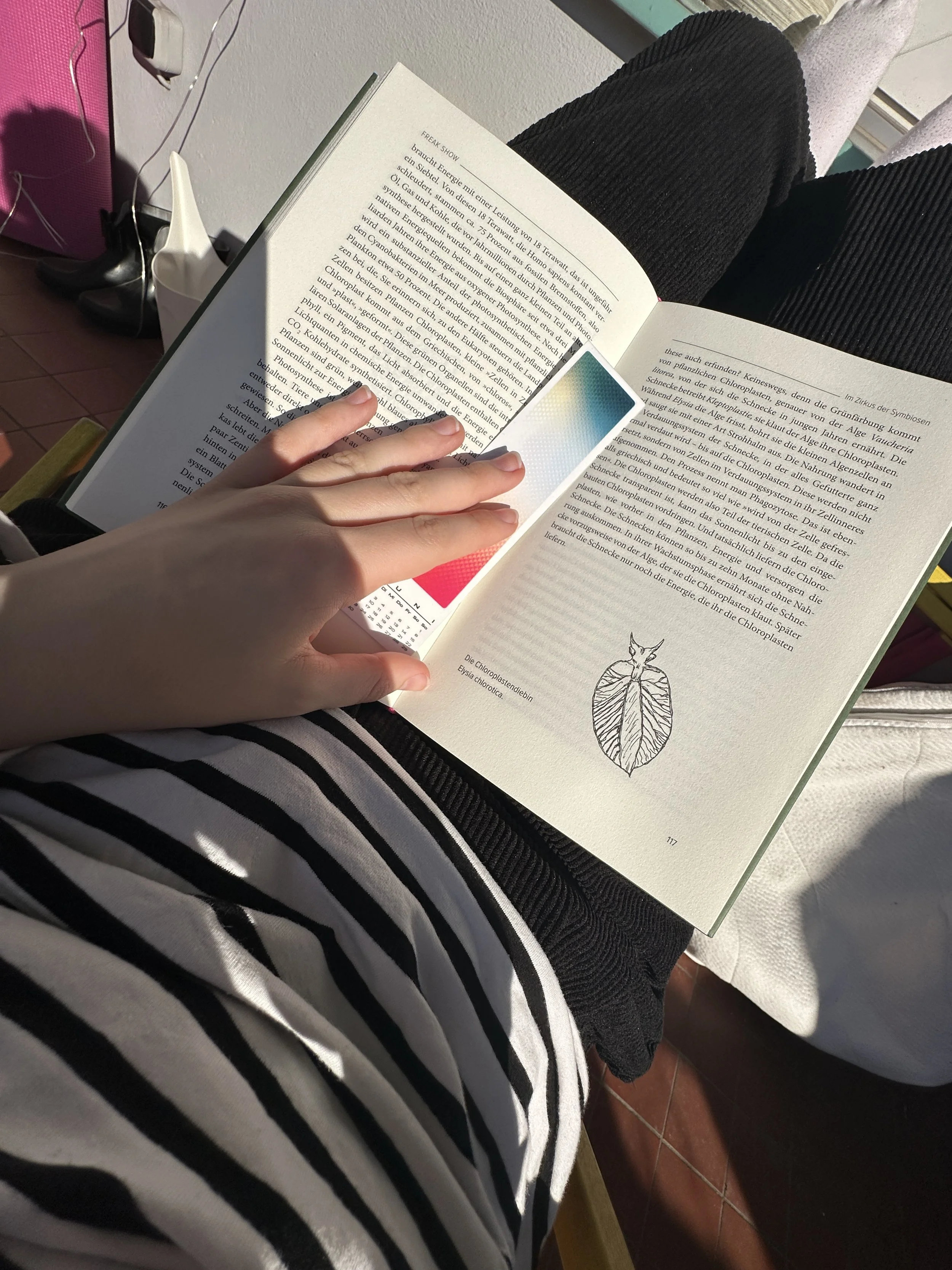 Person liest ein Buch mit einer Illustration einer Chloroplasten-Struktur, auf dem Schoß sitzend, mit einer Hand das Buch haltend.