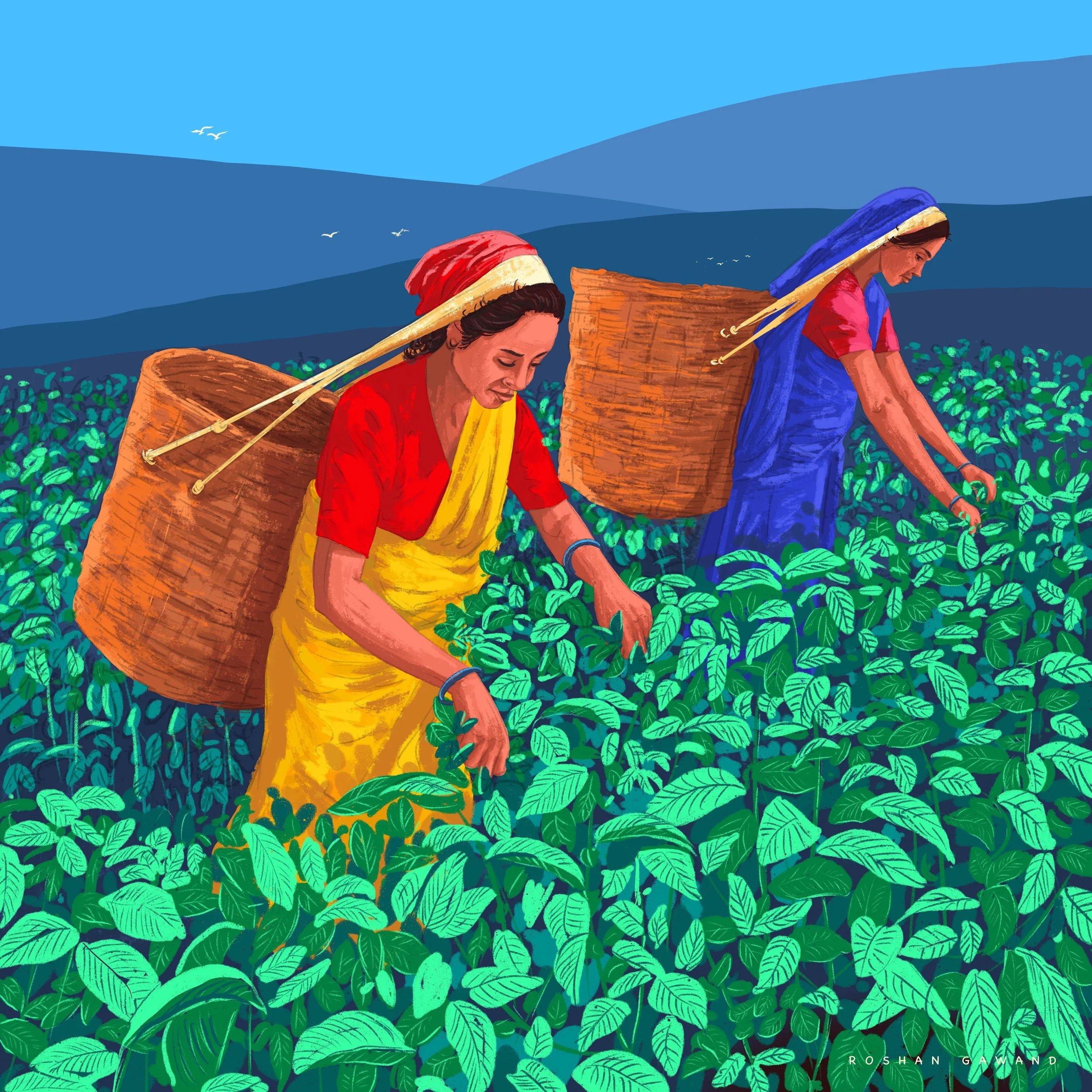 a blend of tradition &amp; sustainability