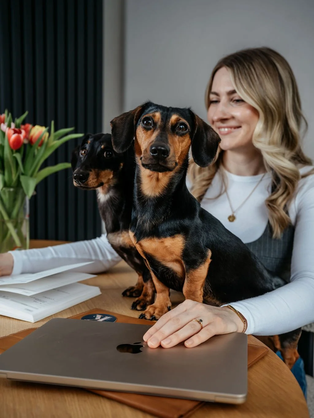 Why Growing Pet Brands Need Support Behind the Scenes