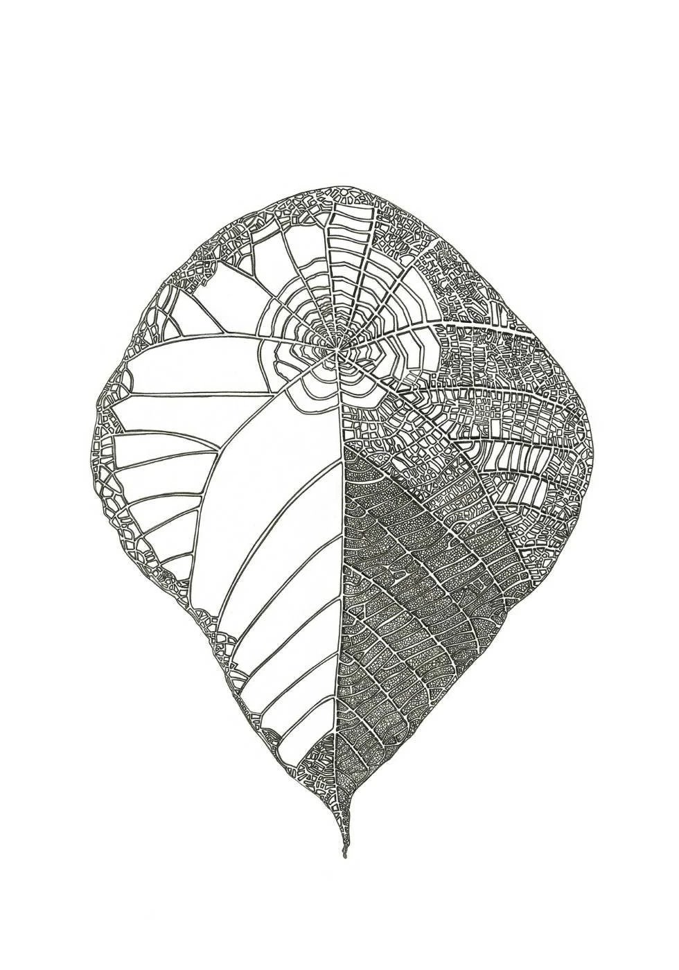 Largeleaf1.jpg