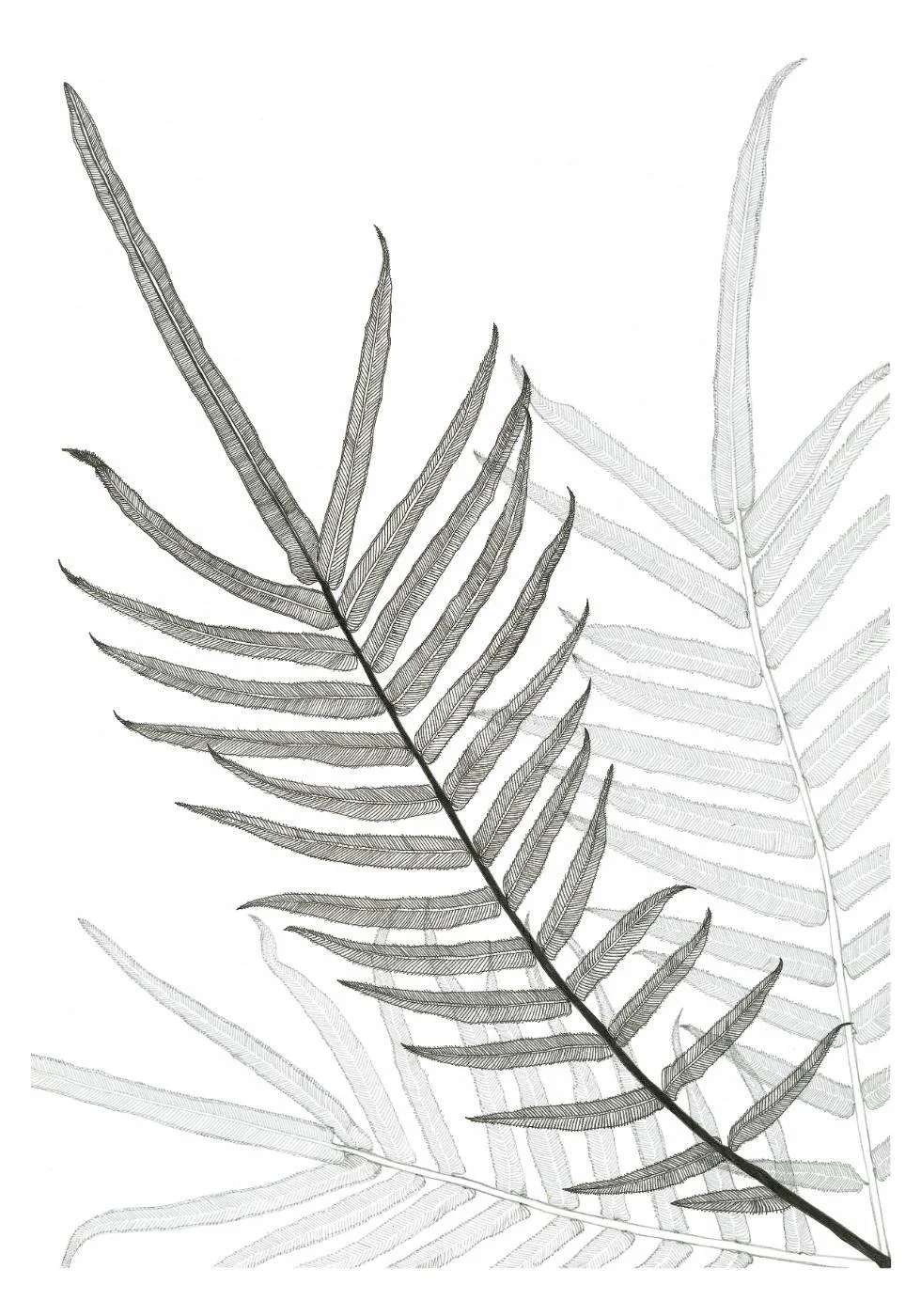 Held in Detail