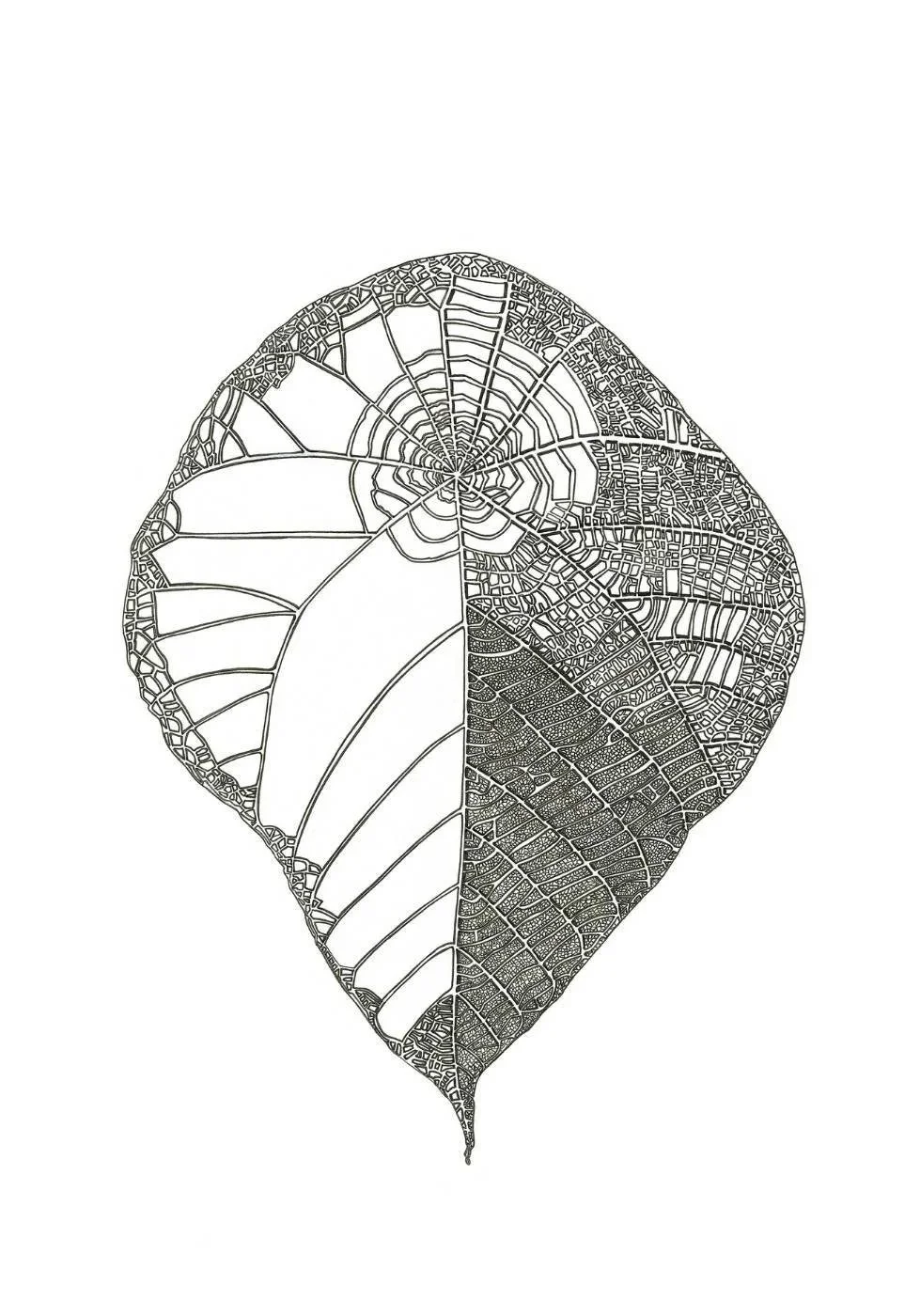 Unfolding Within