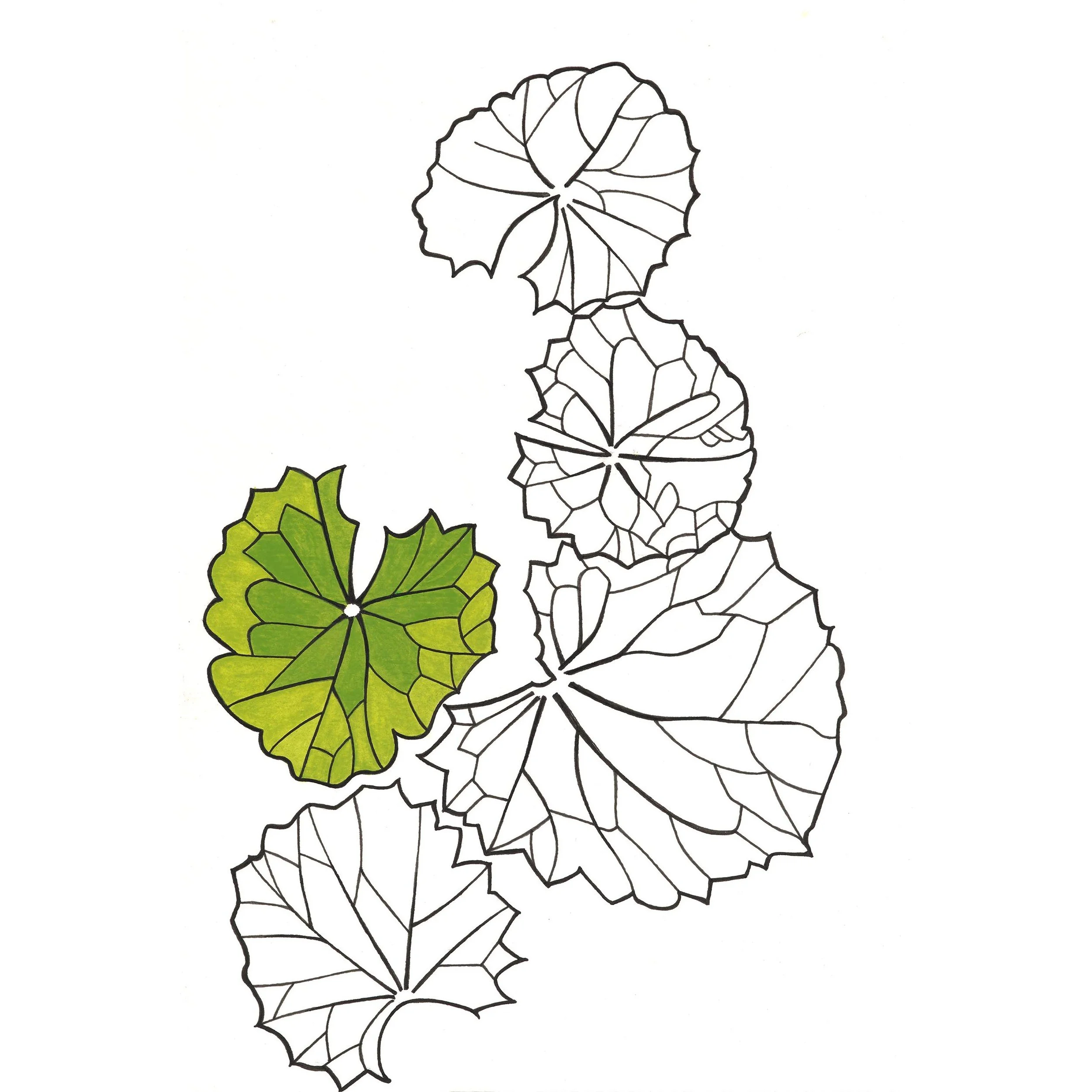 Glenda-Carranza_007_Leaves-5_2500px SquareEdited.jpg
