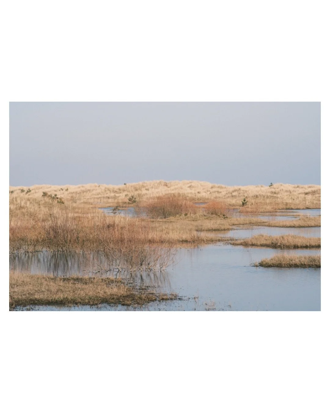 In March the earth remembers its own name.
Everywhere the plates of snow are cracking.
The rivers begin to sing.
In the sky the Winter stars are sliding away; 
new stars appear as, later, small blades of grain
will shine in the dark fields. 

And the
