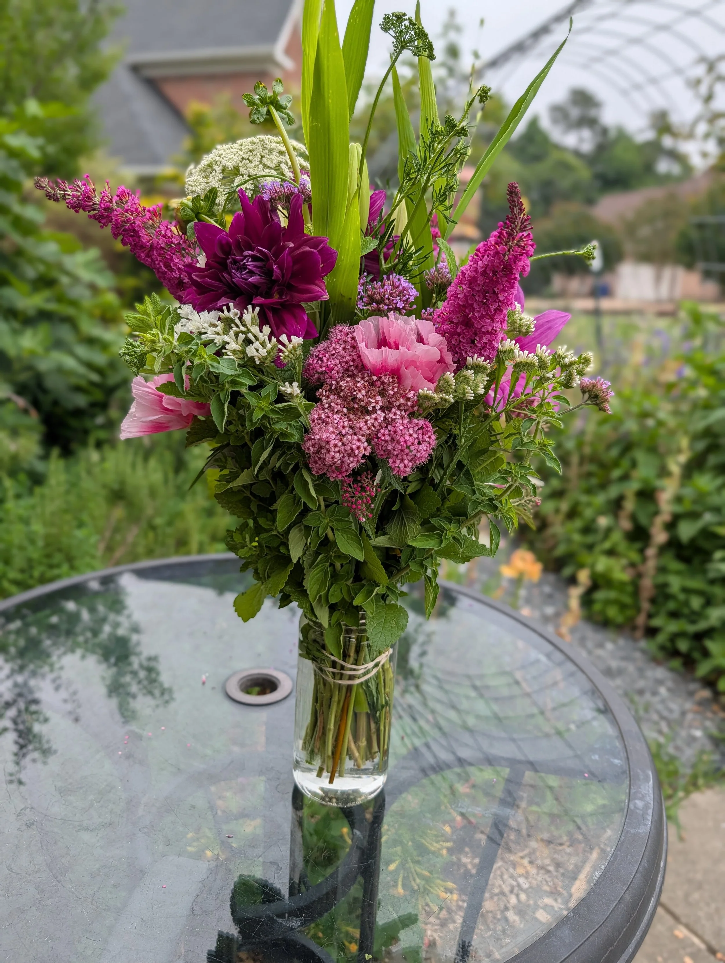 The Summer Saturated Subscription