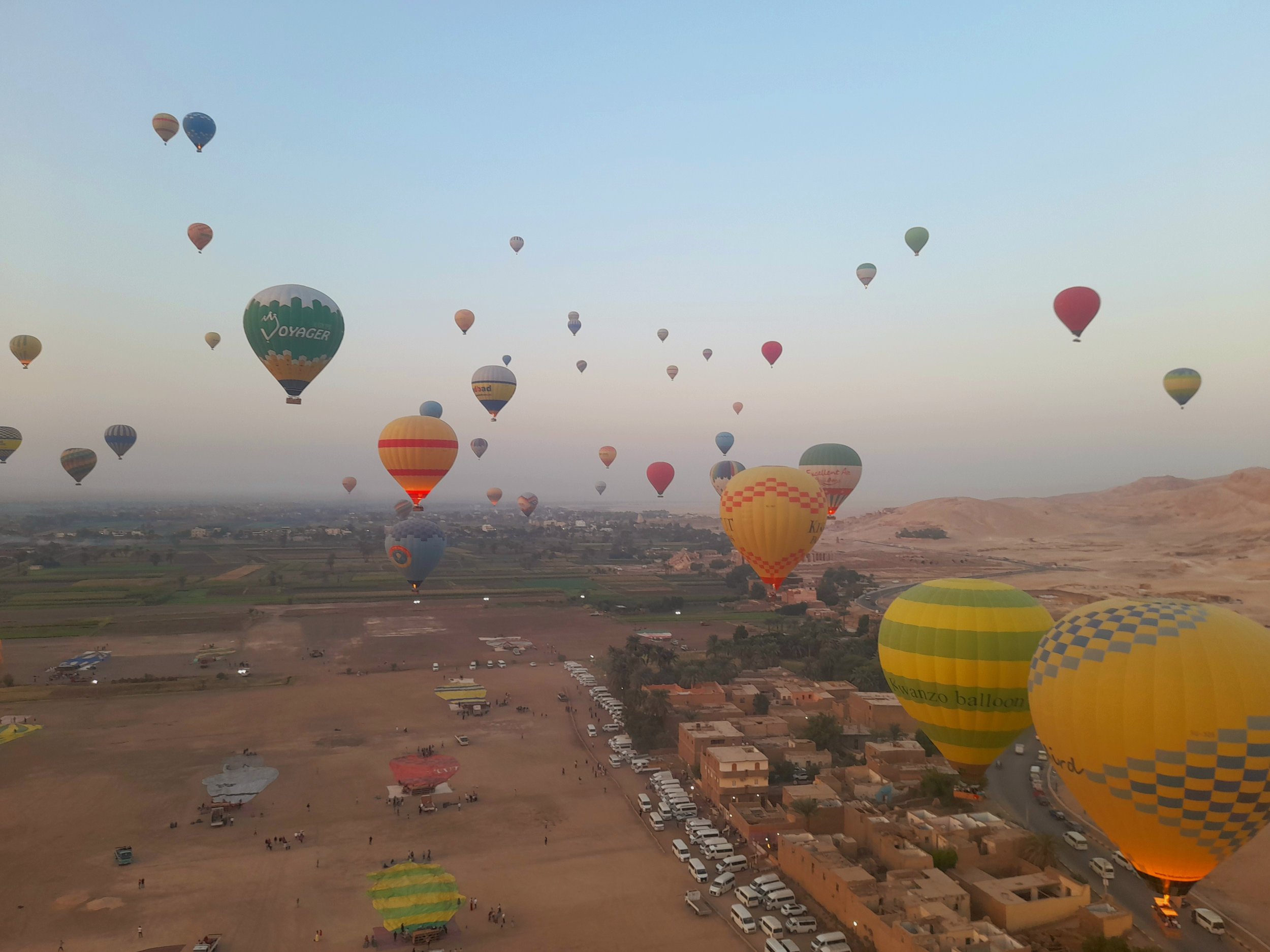 Multiple colorful hot air balloons floating in the sky above the desert landscape of Luxor with buildings and parked cars.