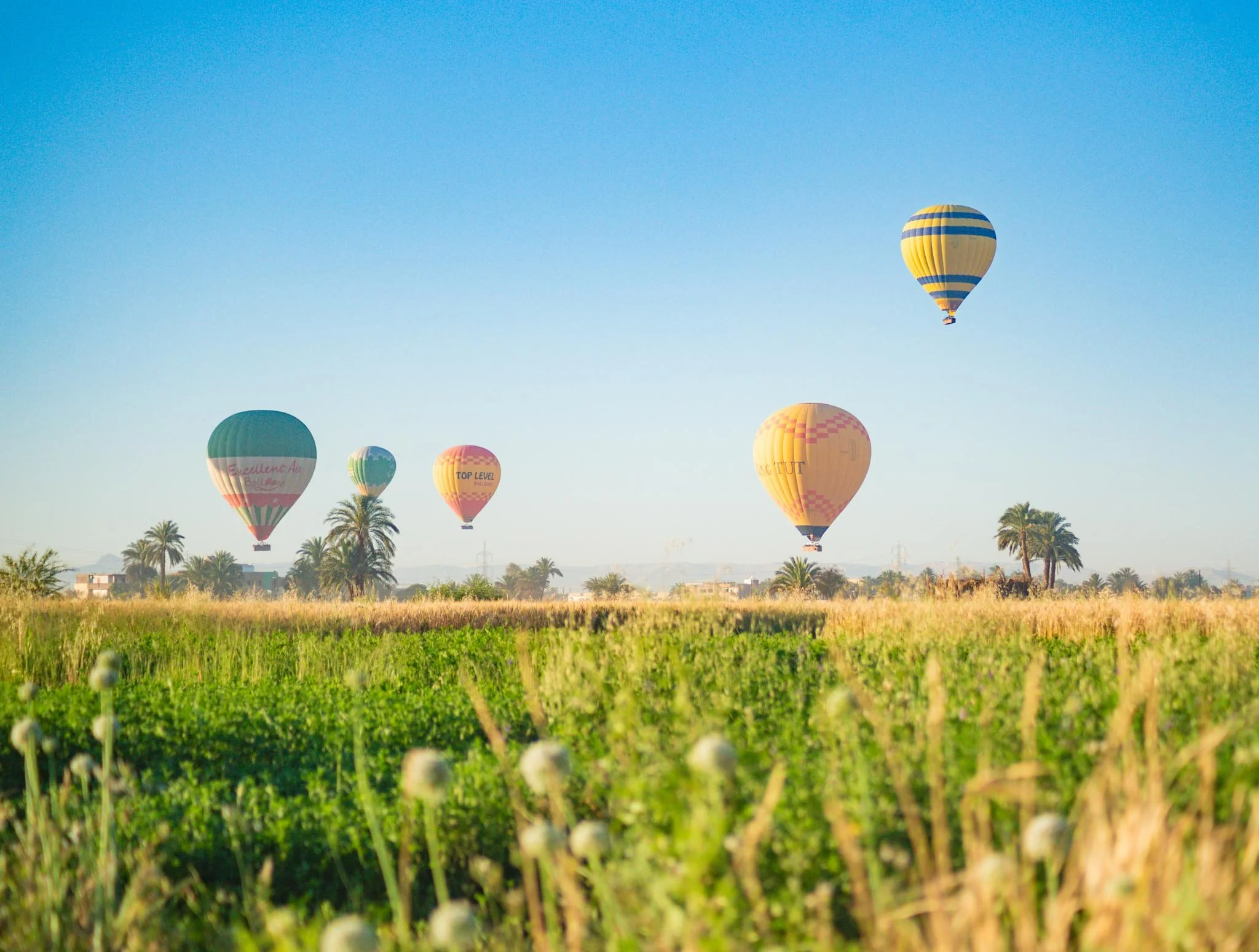 Hot Air Balloon Luxor