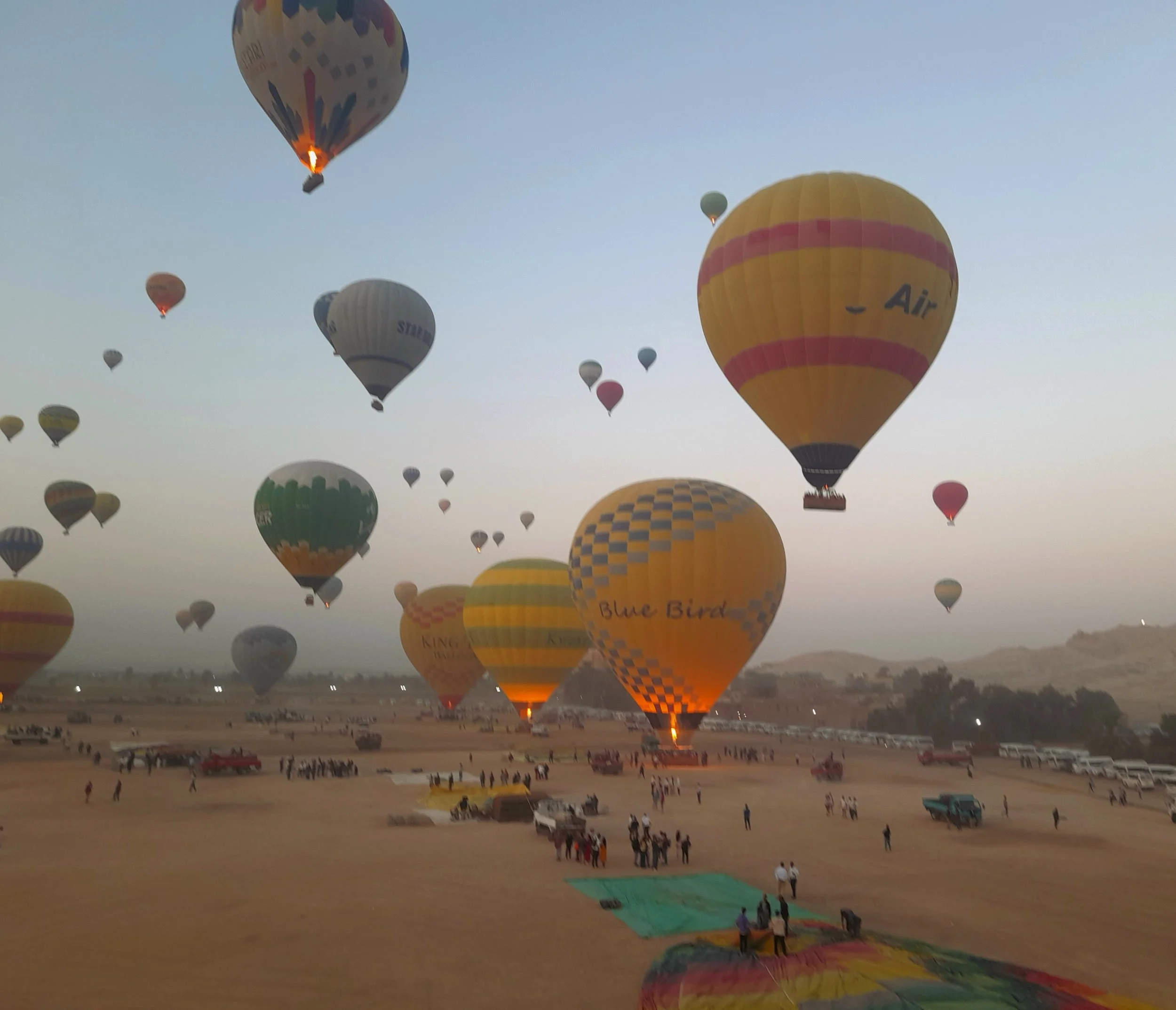 Hot air balloons in Luxor flying over a large open field with people and vehicles, during dawn, with clear sky in the background.