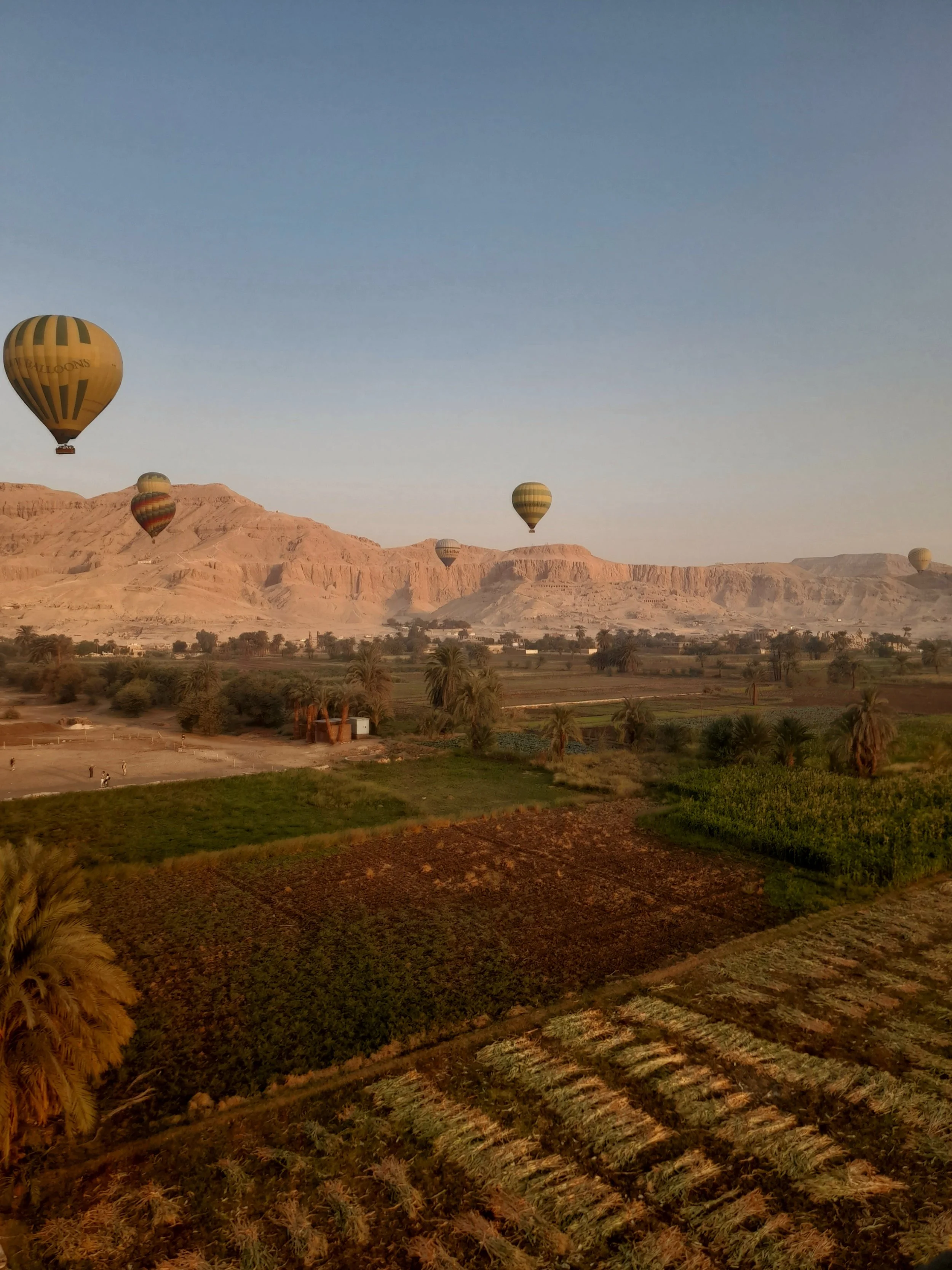 Multiple hot air balloons floating over a desert landscape with mountains in the background during sunrise in Luxor