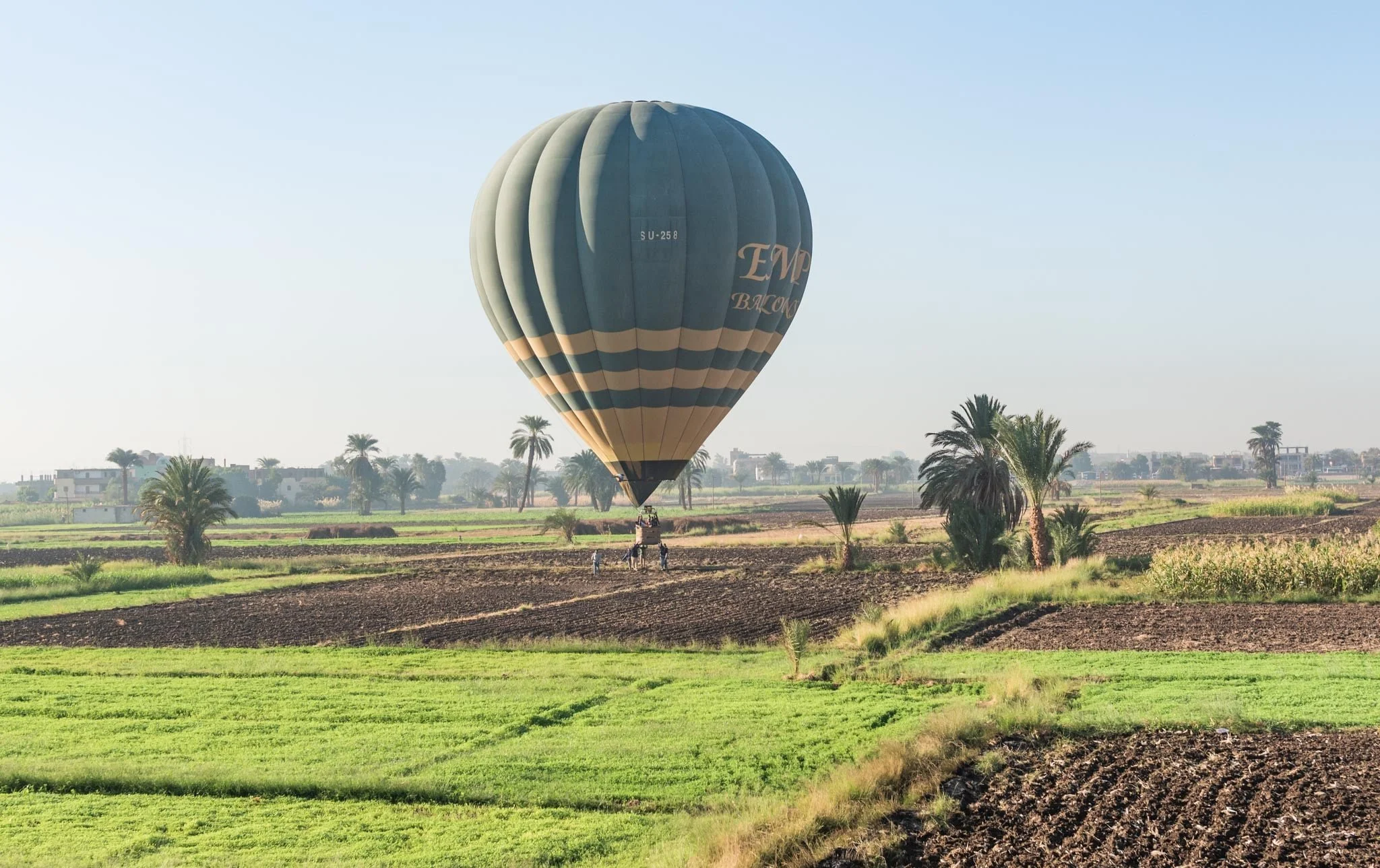 Hot air balloon floating over green fields and palm trees on a clear day.
