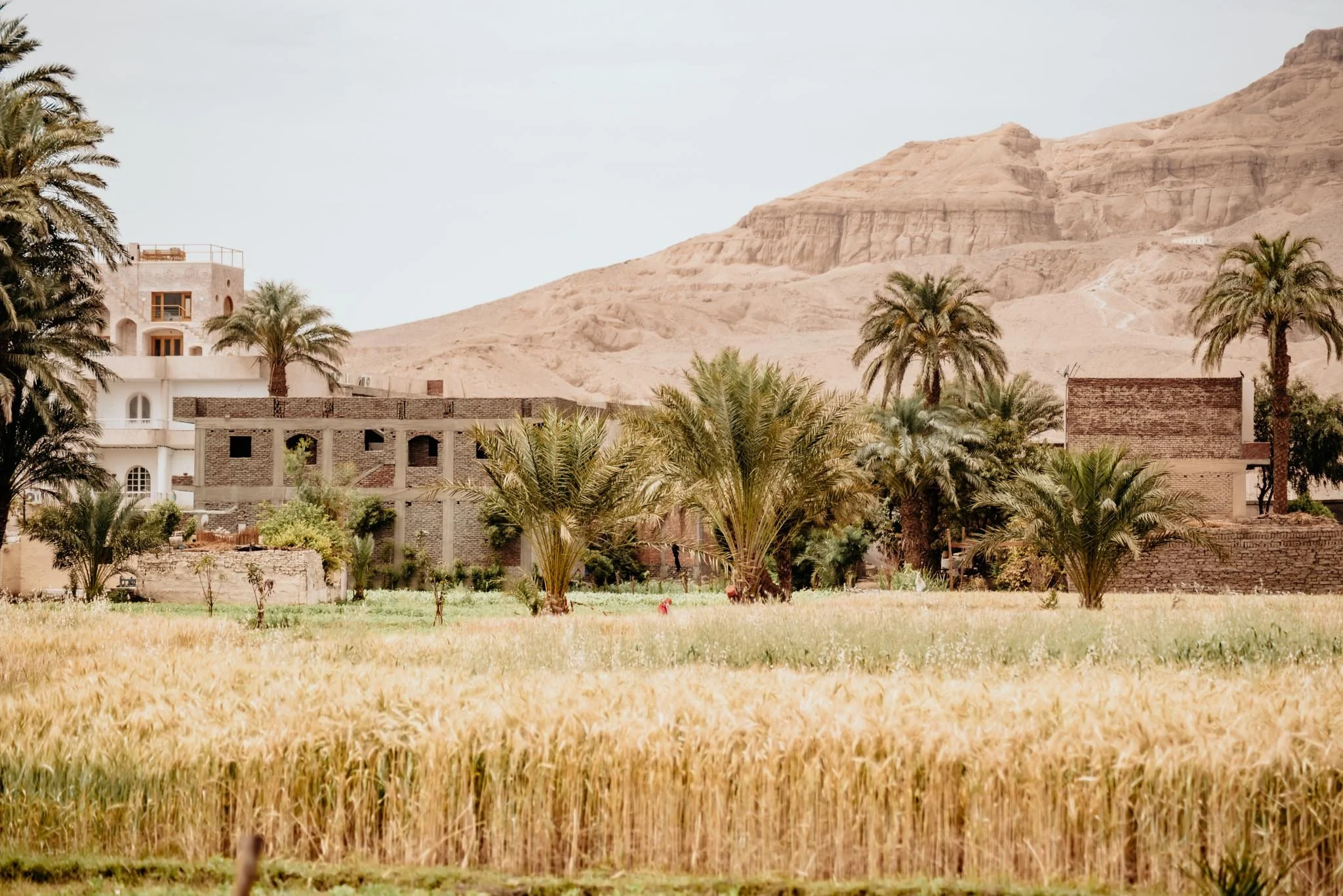 Valley of the Kings