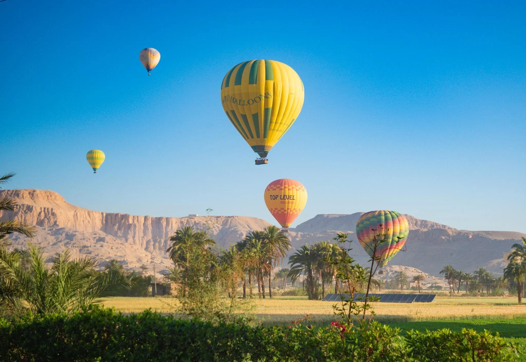 Several colorful hot air balloons floating in a clear blue sky above a desert landscape with sandy cliffs and green vegetation.