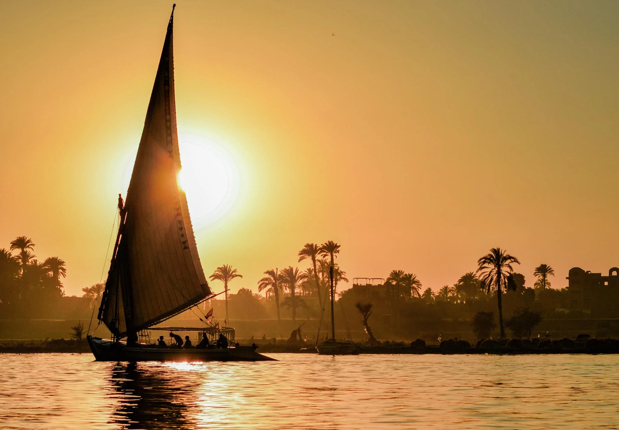 A  felucca sailing on the river Nile during sunset, with palm trees along the riverbank in the background.