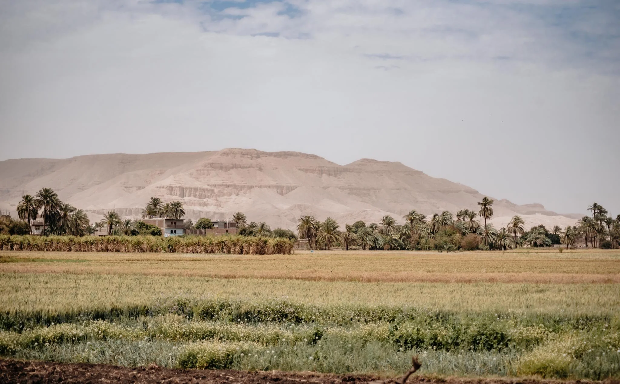 A desert mountain with terraces and sloped layers, behind a landscape of green fields, palm trees, and small buildings under a cloudy sky.