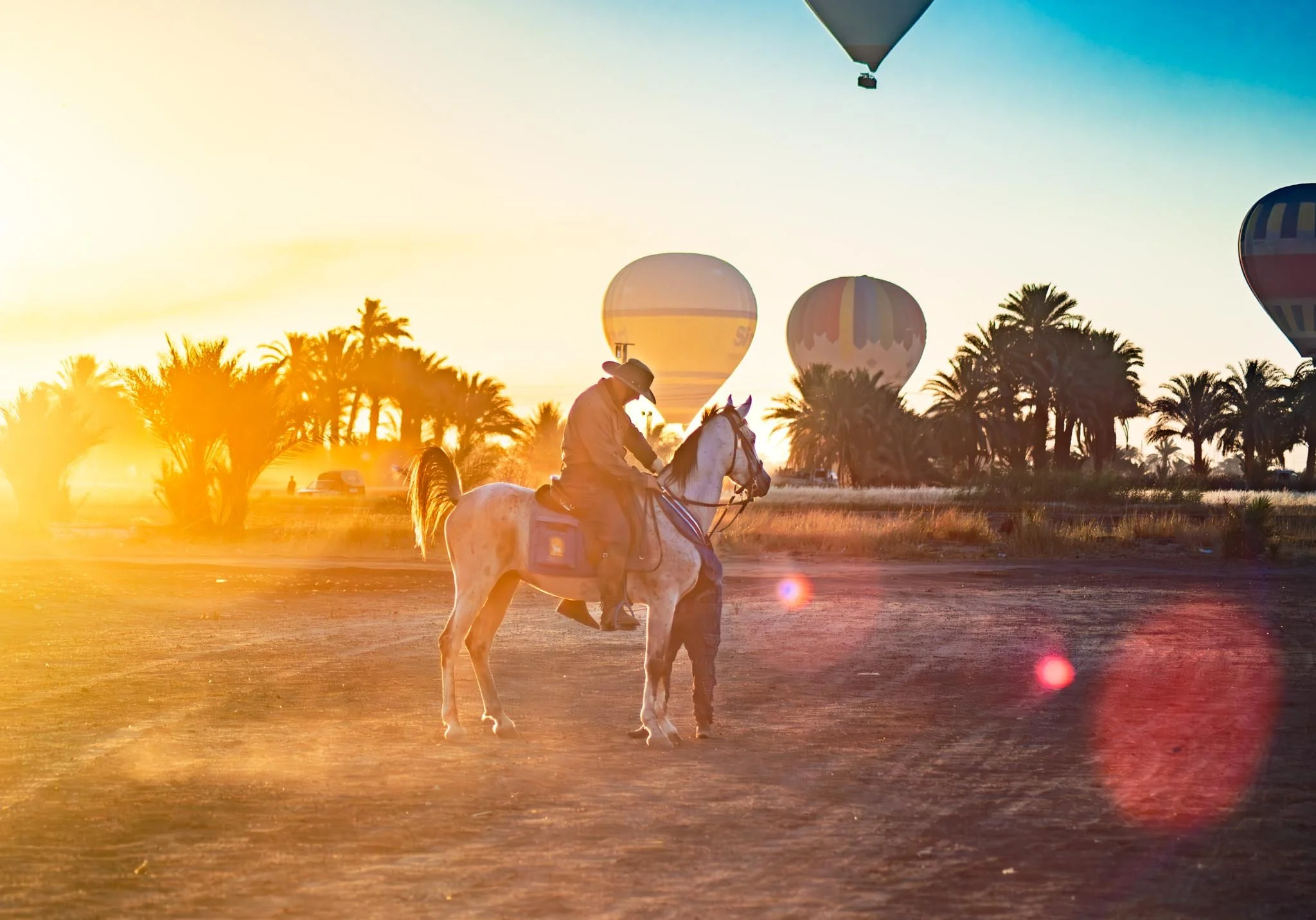 sunrise horse riding with hot air balloons in the background in Luxor