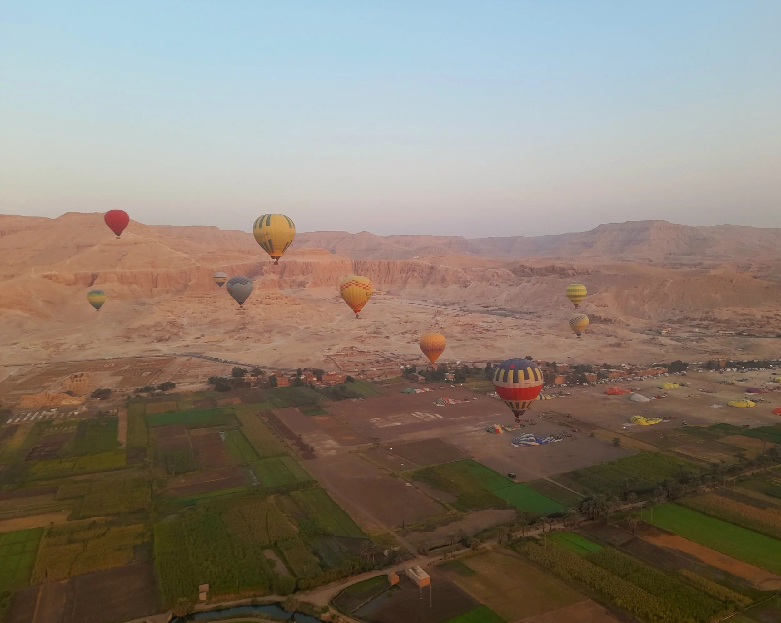 Multiple hot air balloons floating over a desert landscape with green farmland below and a mountainous background at sunrise in Luxor
