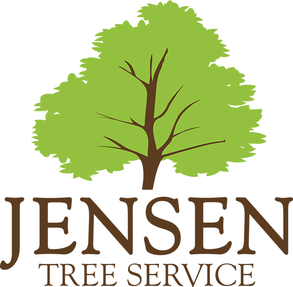 Specialized Arborist &amp; Tree Care | Jensen Tree Service | Rhi