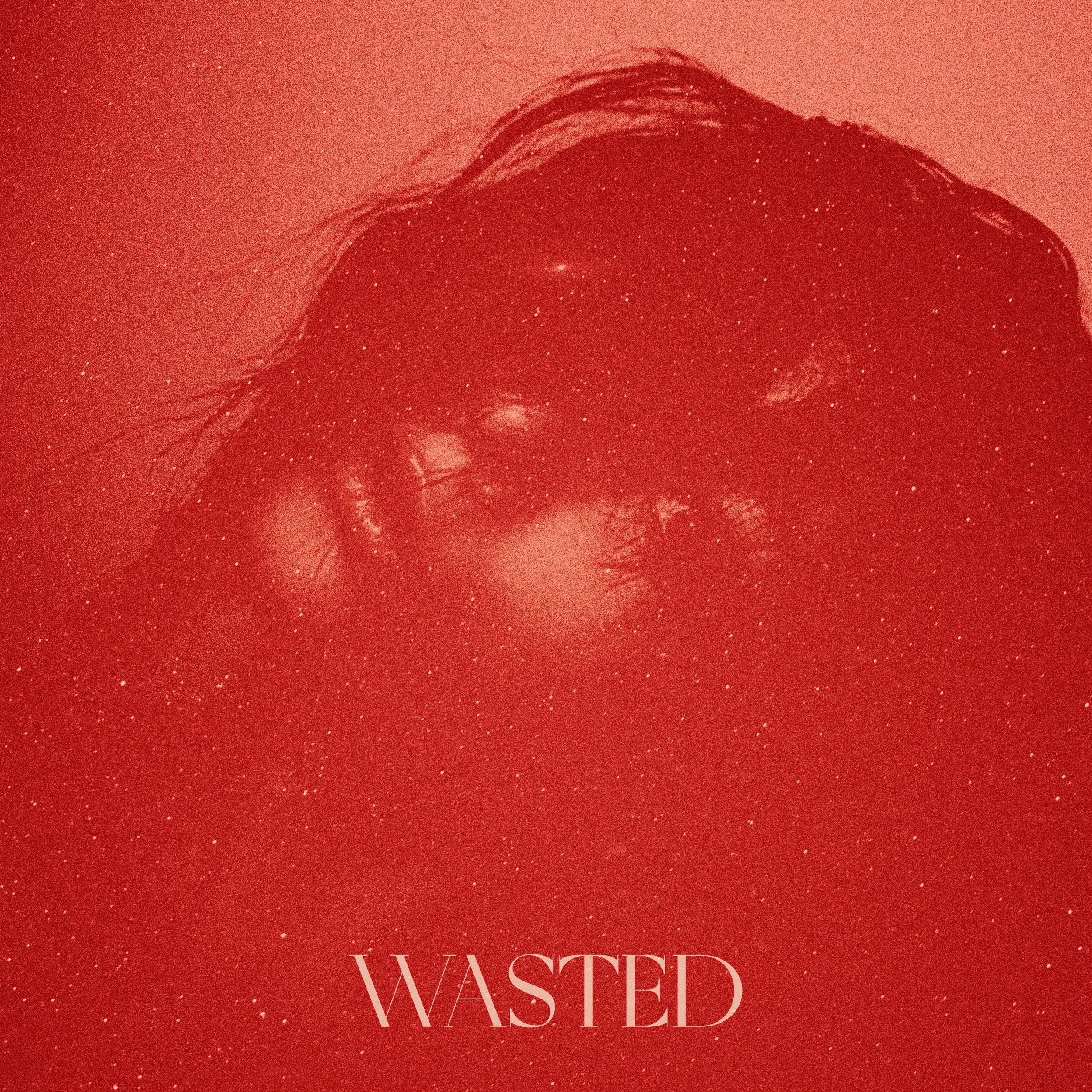WASTED cover.jpg