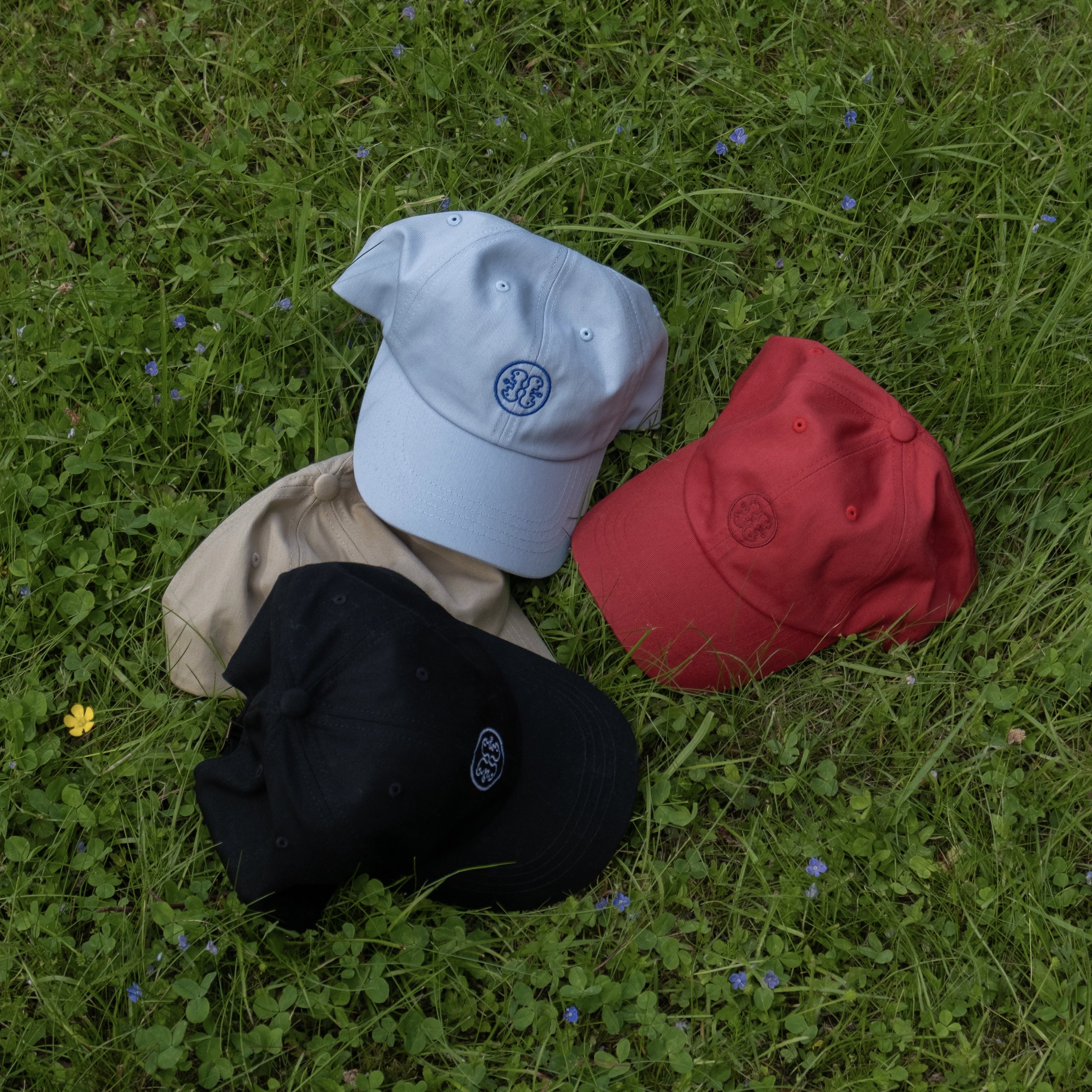 Untitled_Artwork.jpg