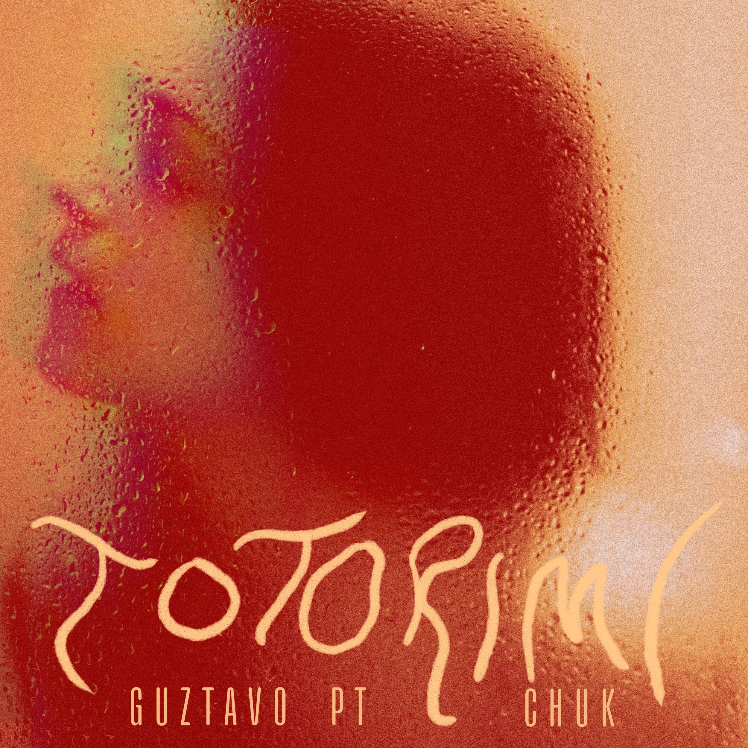 Totorimi_cover (1).jpg