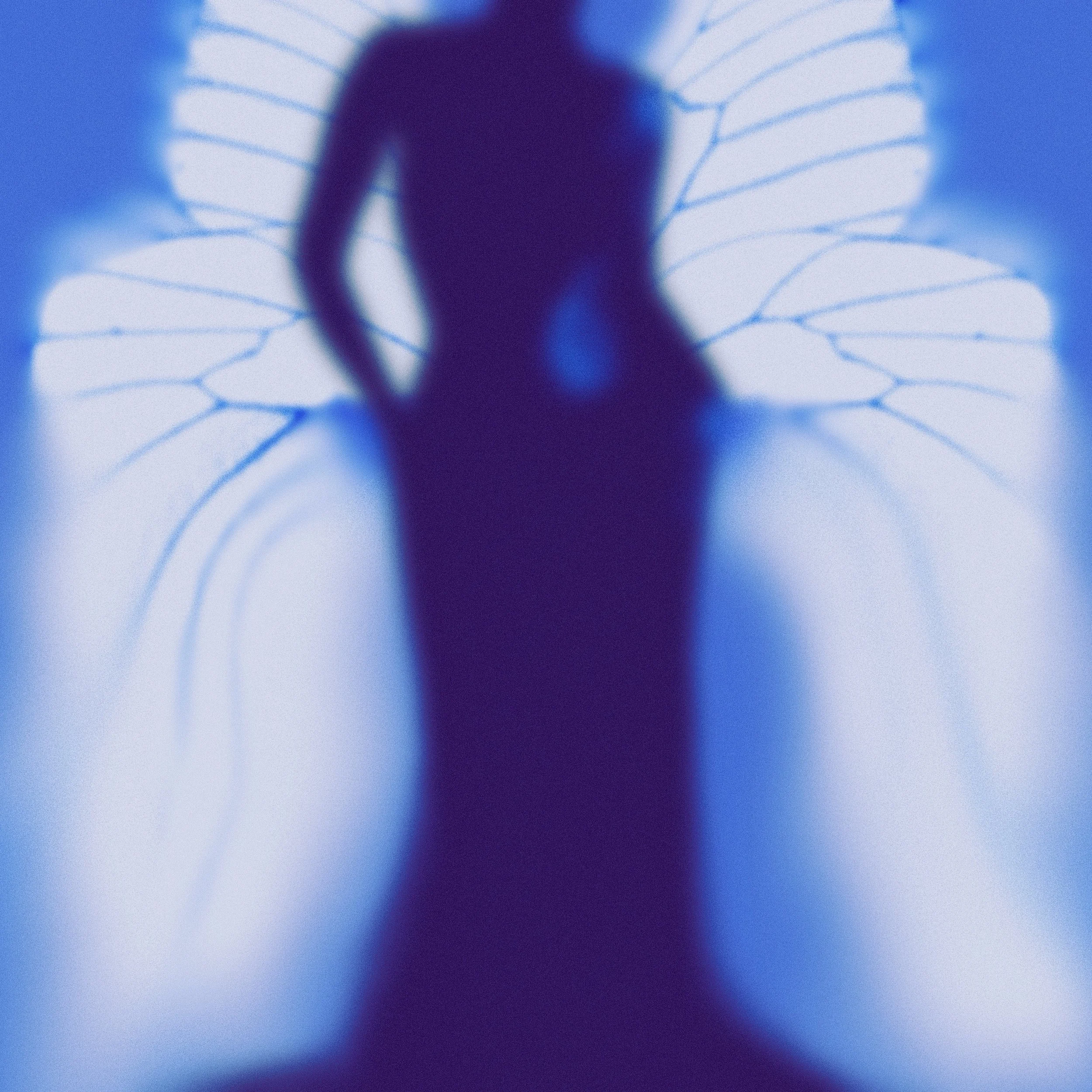 She_Can_Fly_Free_cover .jpg