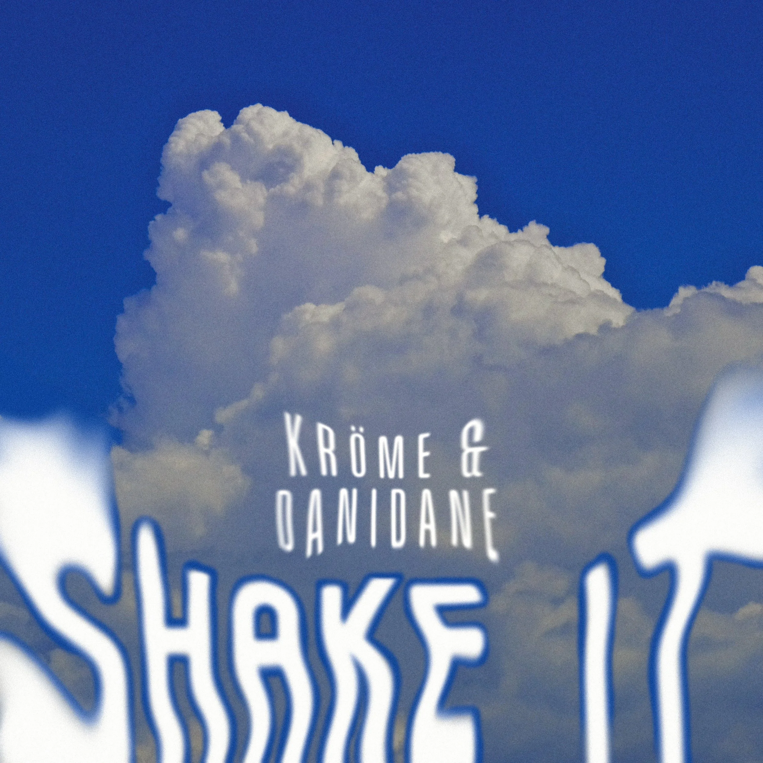 Shake It_cover  (1).jpg
