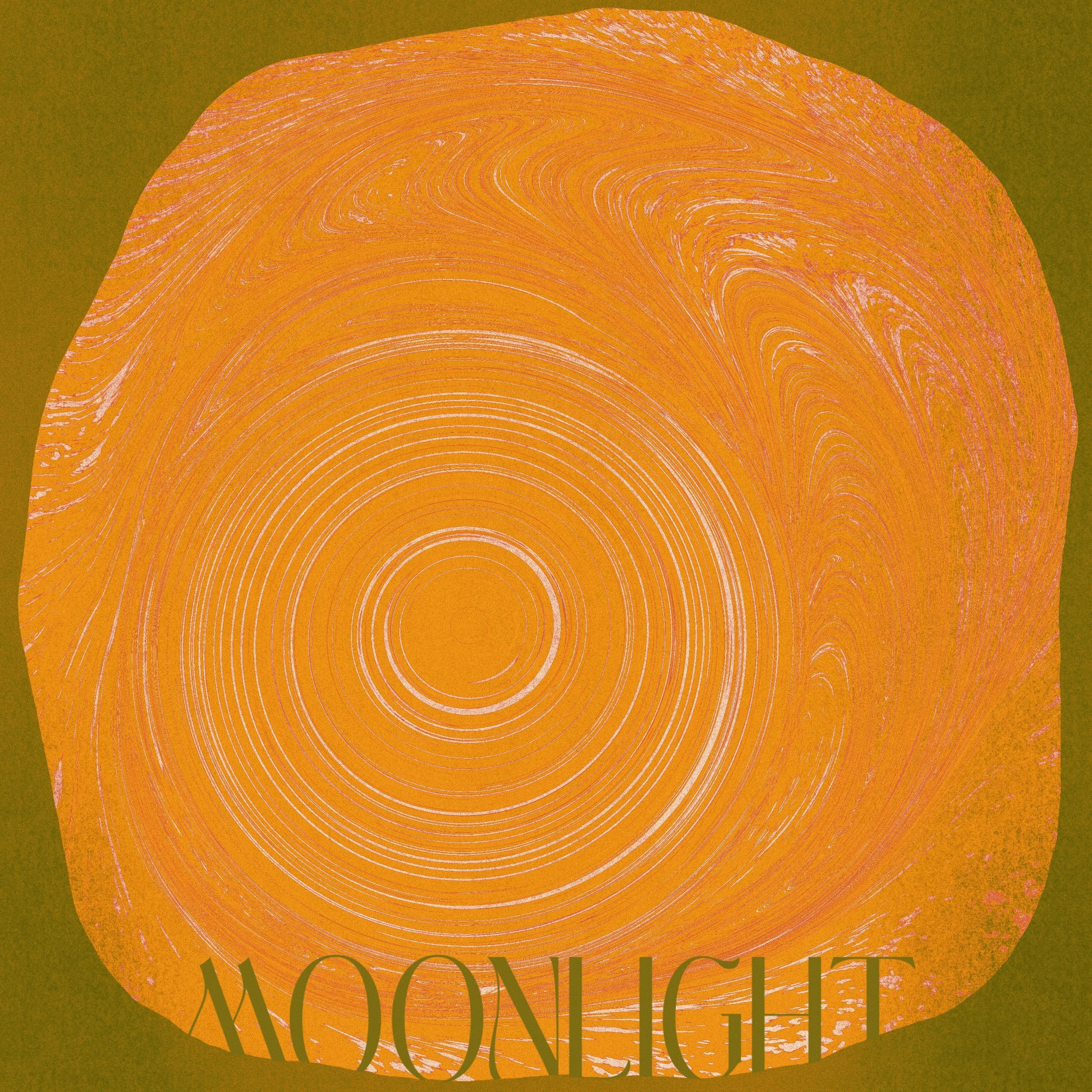 Moonlight cover.jpg