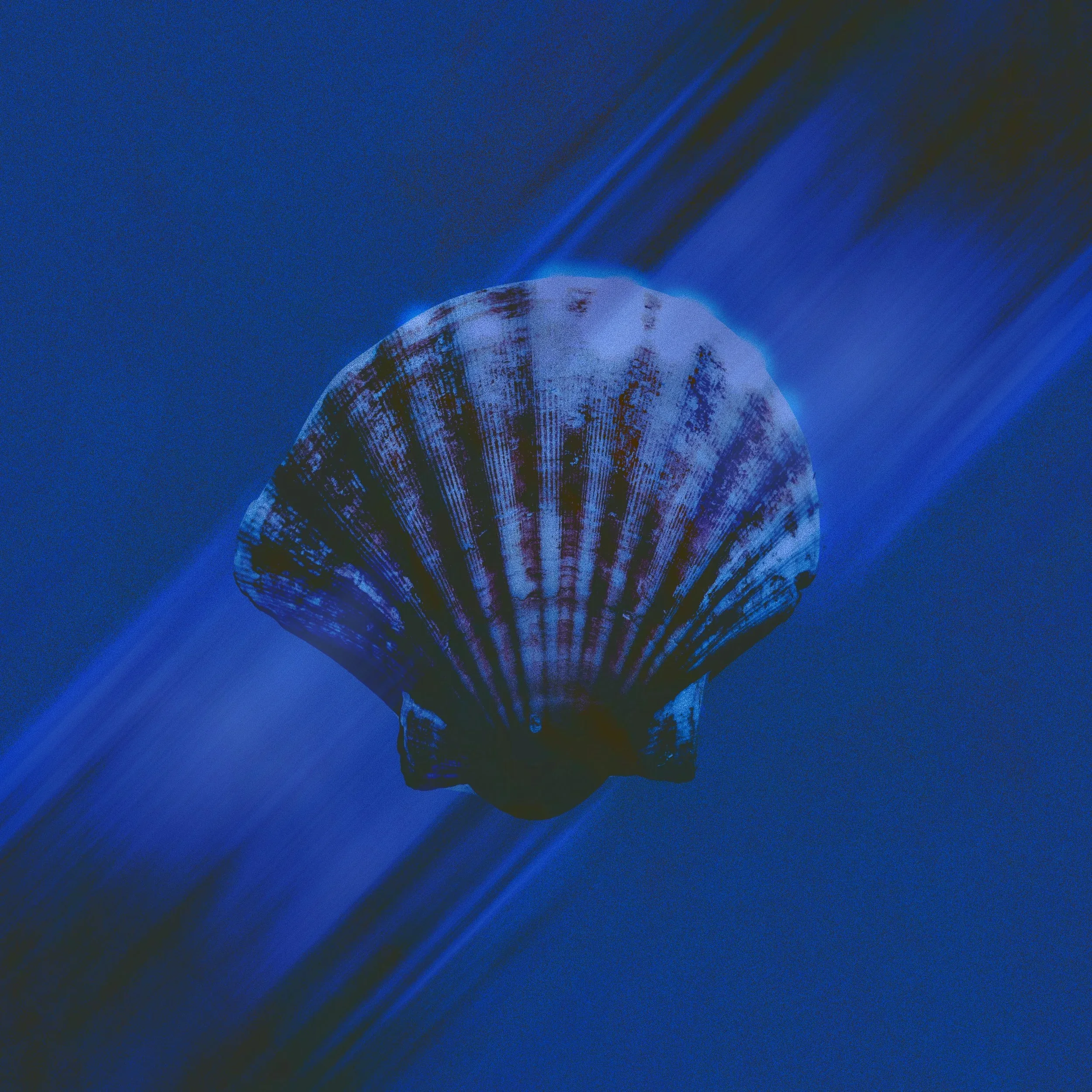 Underwater+cover.webp