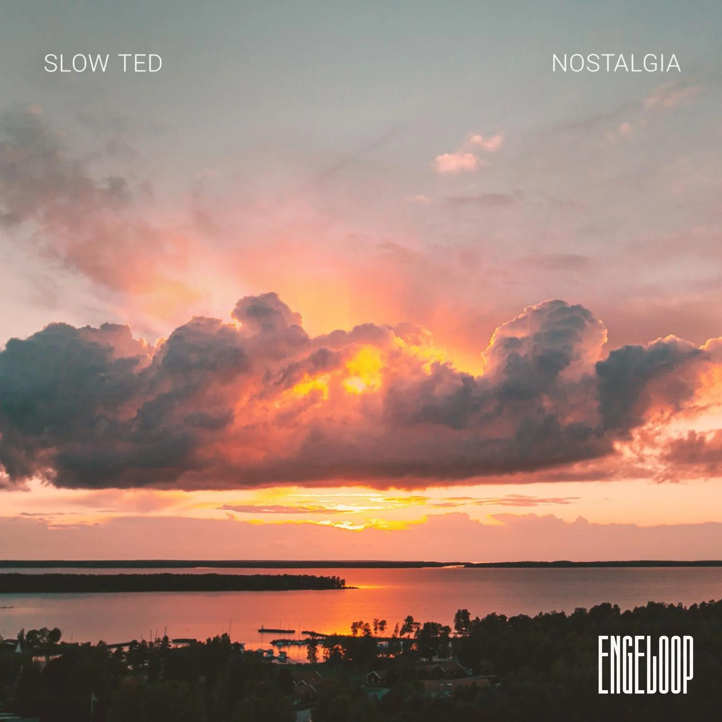 Slow+Ted.webp