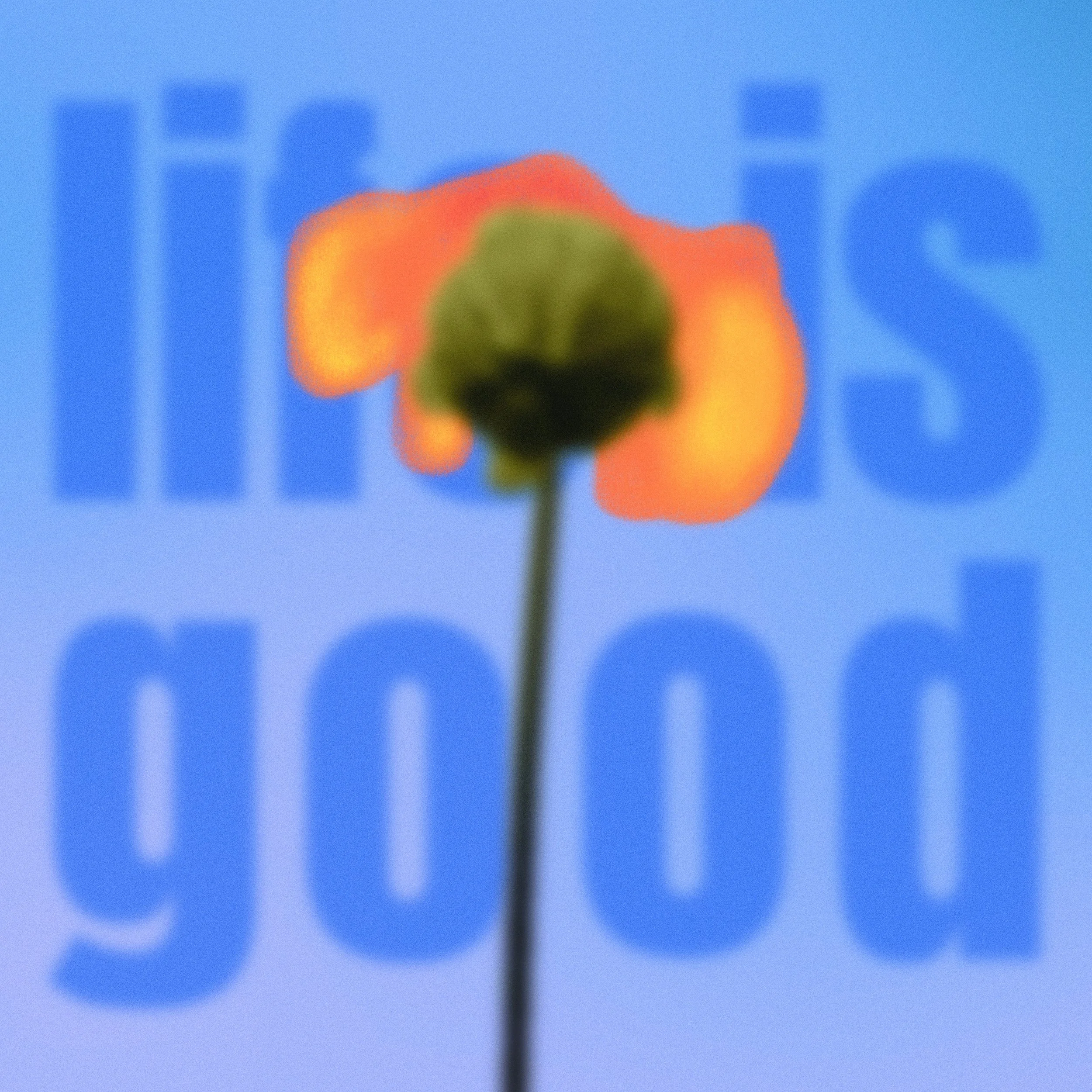 Jessi Selm - life is good