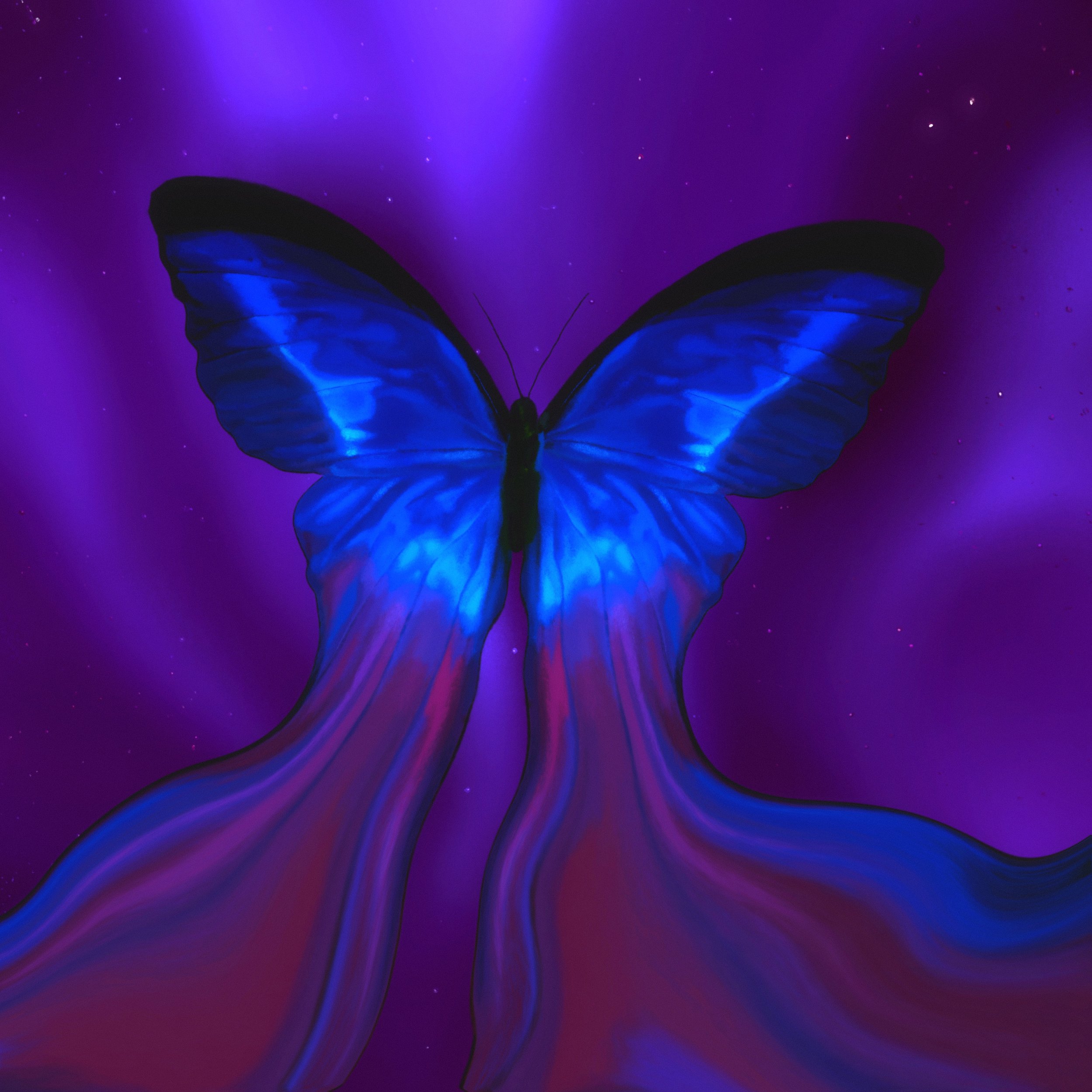 Aurora cover (1).jpg