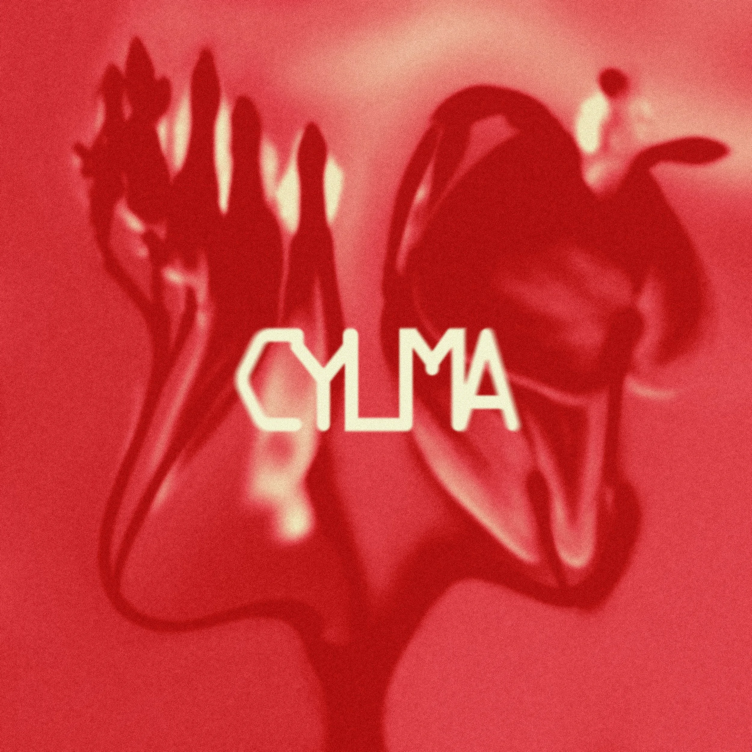 CYLMA_cover  (1).jpg