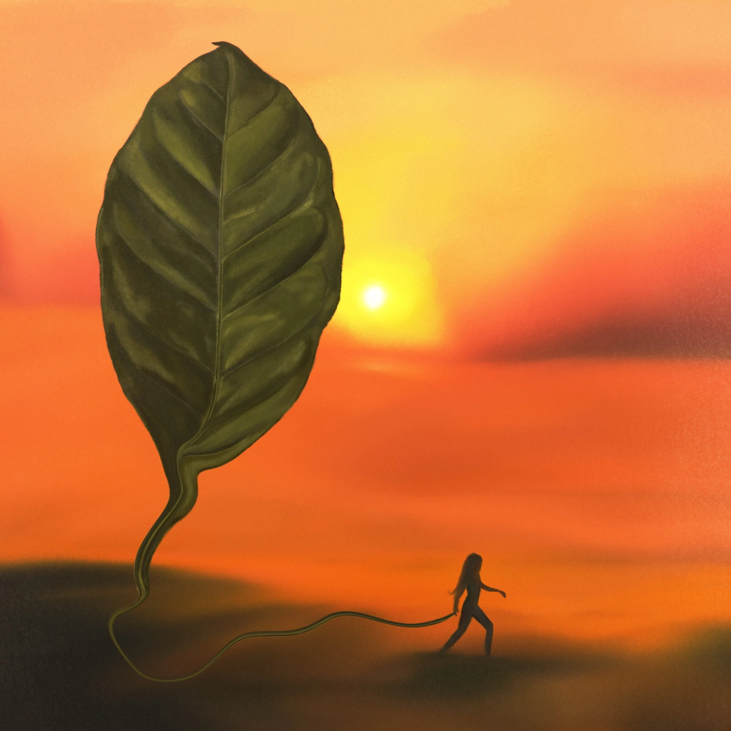 Arabica cover (1).jpg