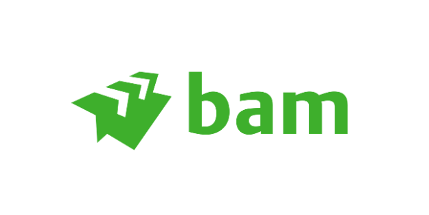 BAM.png