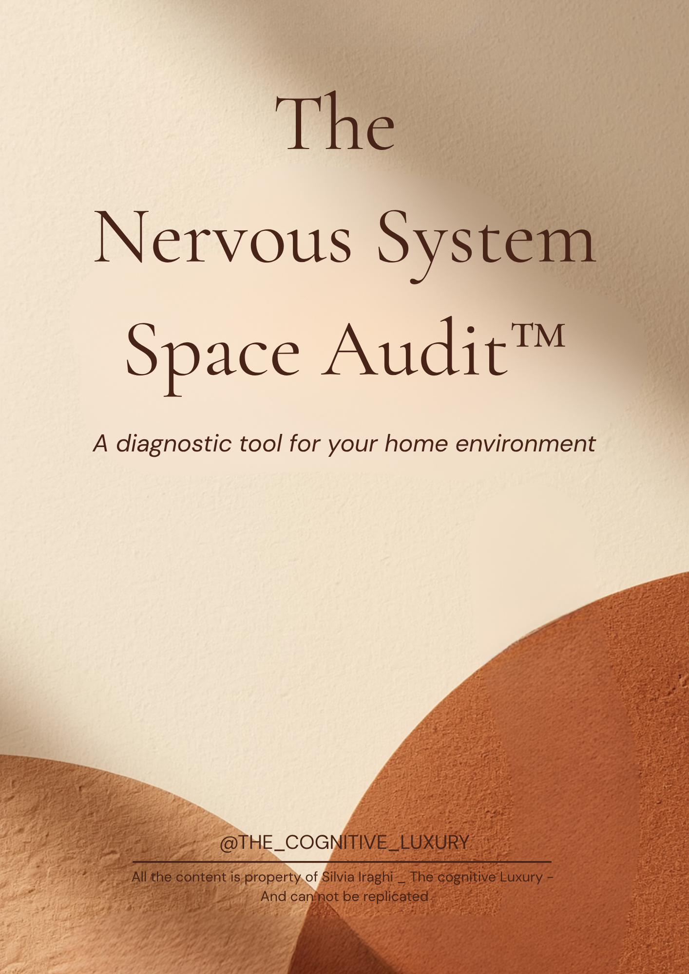 The Nervous System Space Audit™