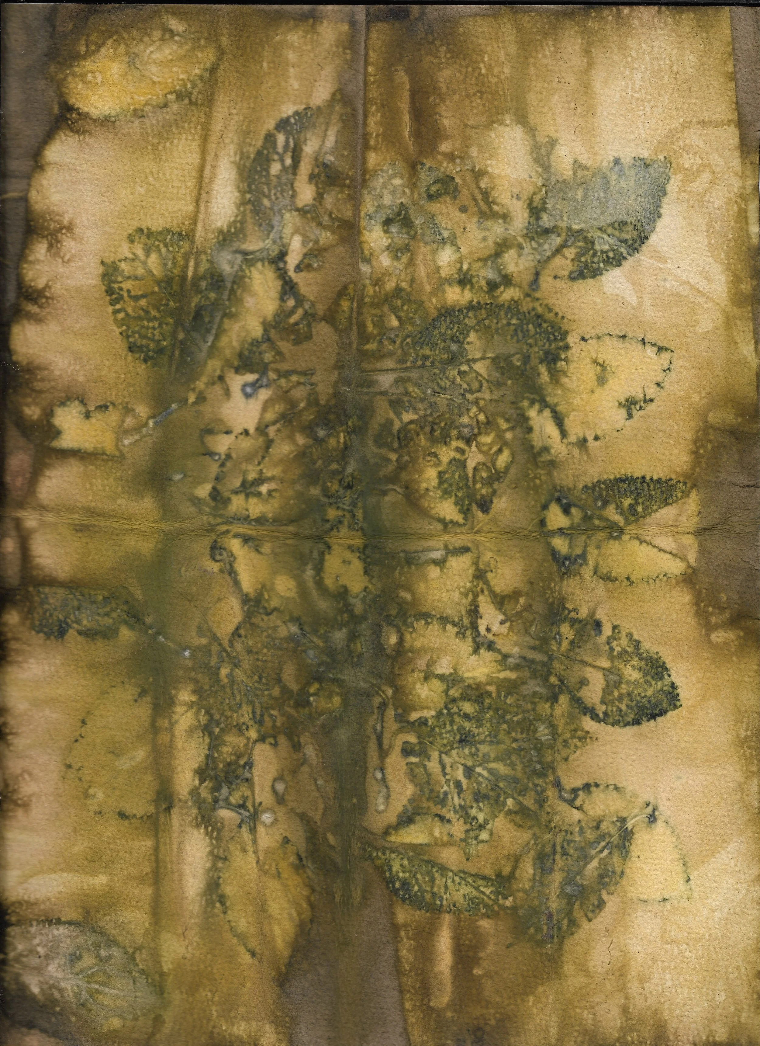 Scan_20260912.jpg