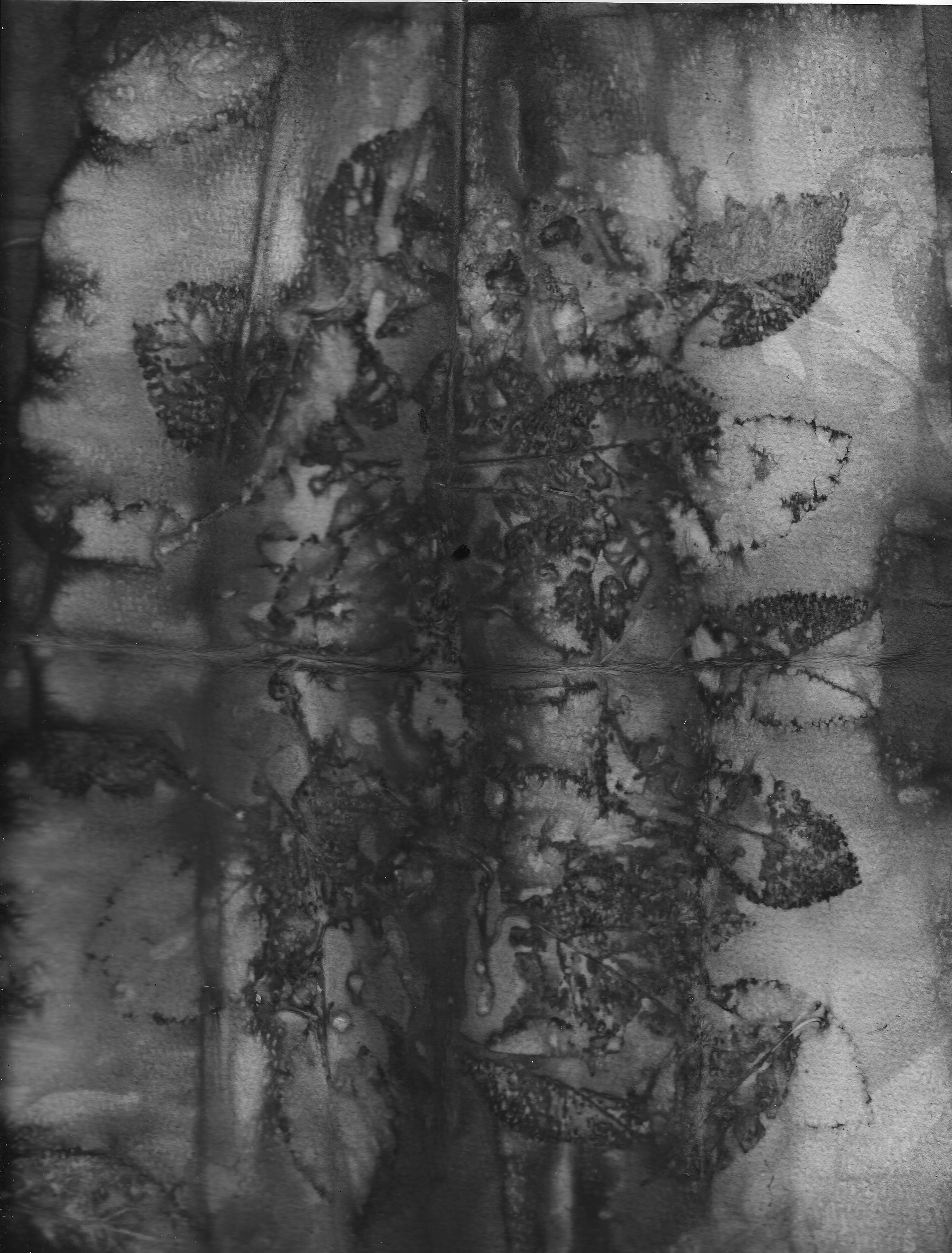 My Garden Eco Print