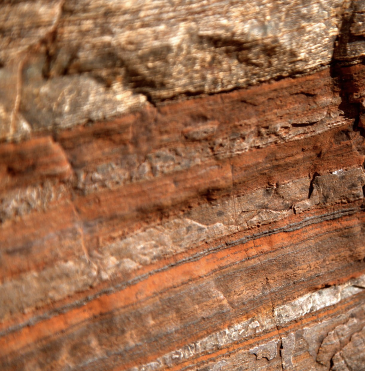 Transformation Program